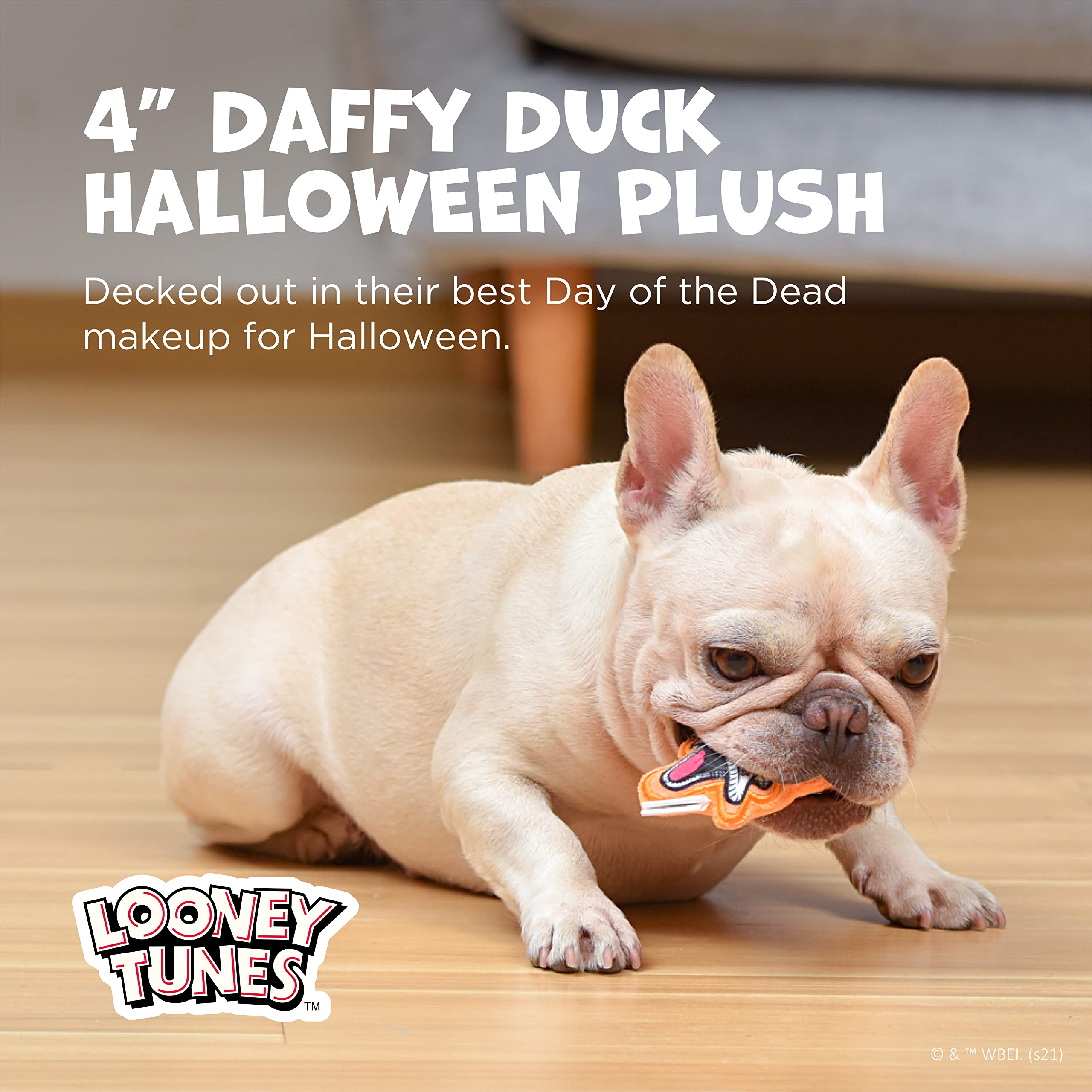 Looney Tunes For Pets Halloween Daffy Duck Silhouette Flattie Style Pet Squeaker Toy With Day Of The Dead Designs| Squeaky Dog Toy Small Dog Toy For Small Dogs | Halloween Dog Chew Toys, 4' (Ff16970)