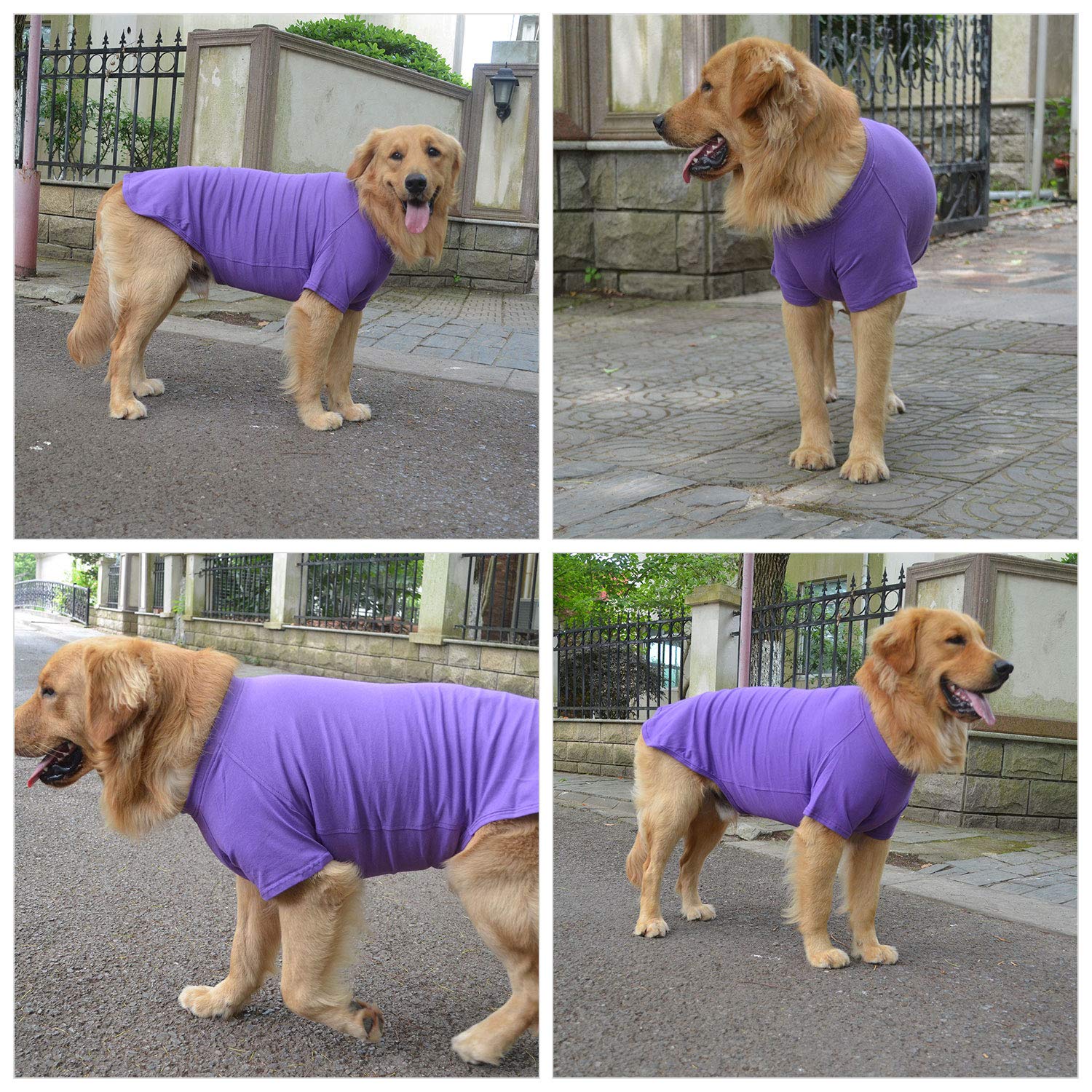Lovelonglong Pet Clothing Dog Costumes Basic Blank T-Shirt Tee Shirts for Small Dogs Purple S