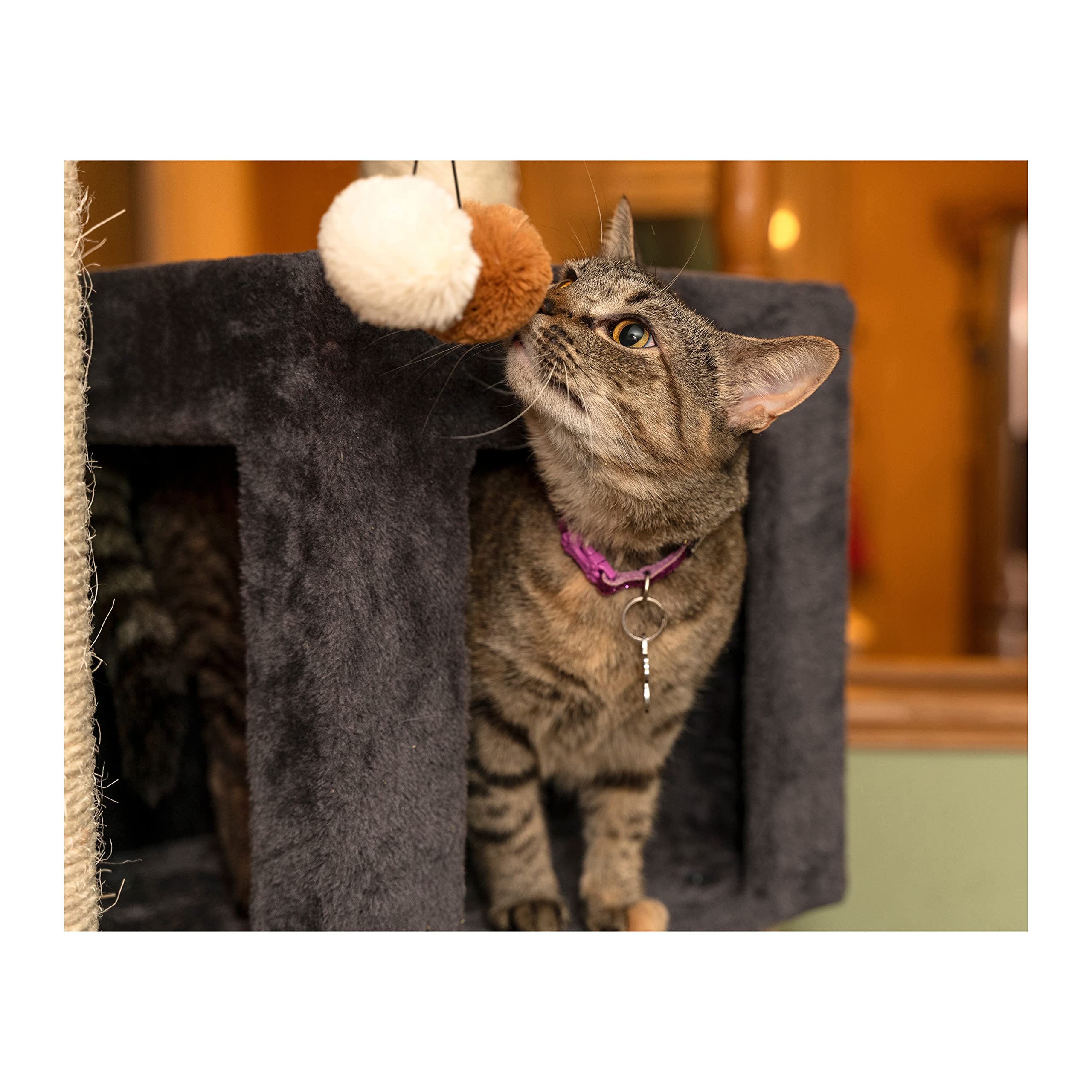 Armarkat Real Wood Cat Tower A8104 - 26"L x 24"W x 80"H, Dark Gray, Multi-Level with Condos for Multiple Cats