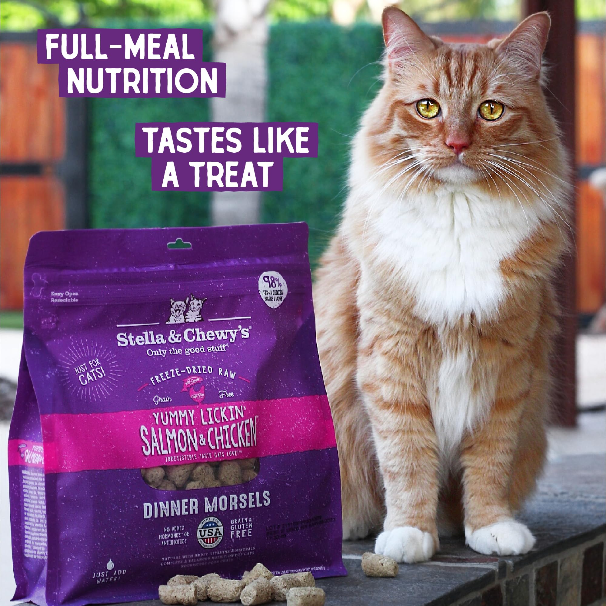Stella & Chewys Freeze-Dried Raw Cat Dinner Morsels - Grain Free, Protein Rich Cat & Kitten Food - Yummy Lickin Salmon & Chicken