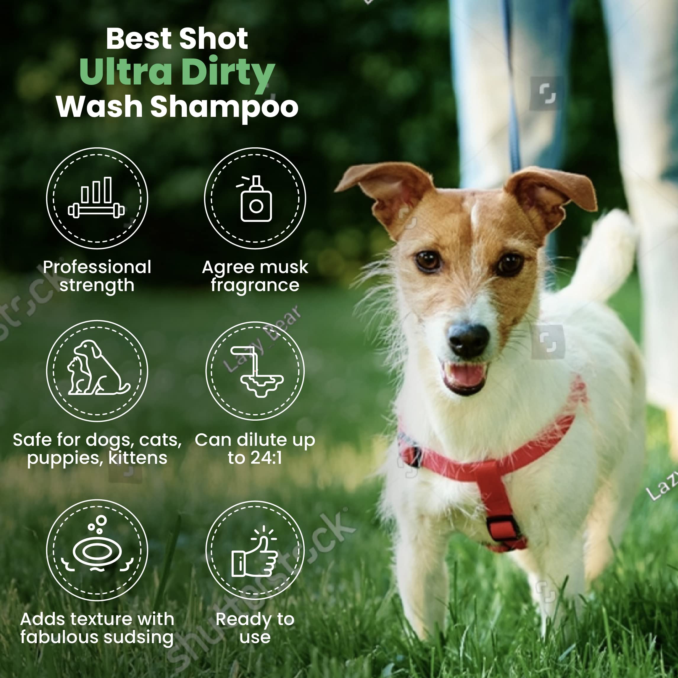Best Shot Ultra Dirty Wash Shampoo, 16 Oz