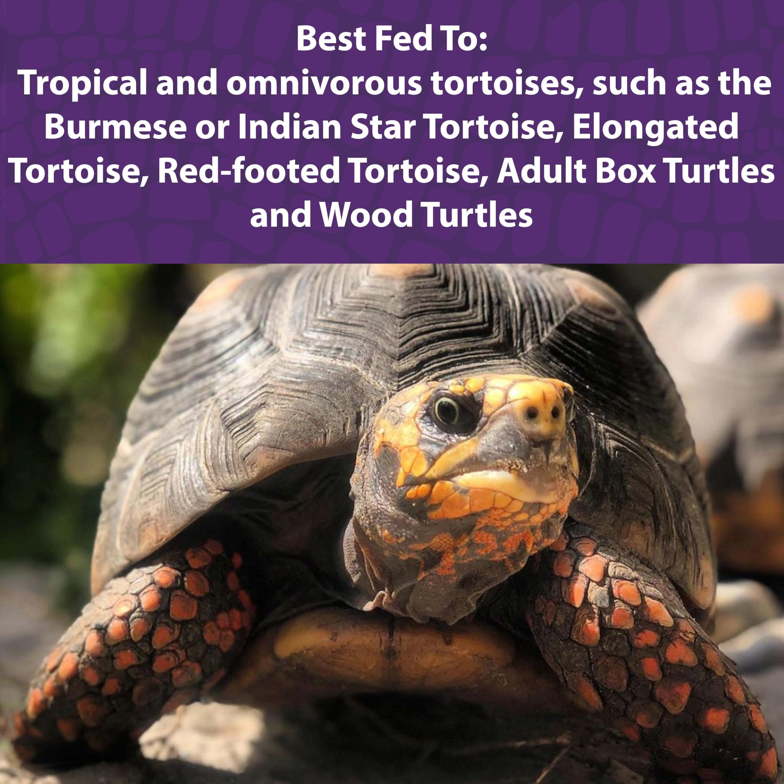 Mazuri  Tortoise Diet  1.25 Pound (1.25 LB) Bag
