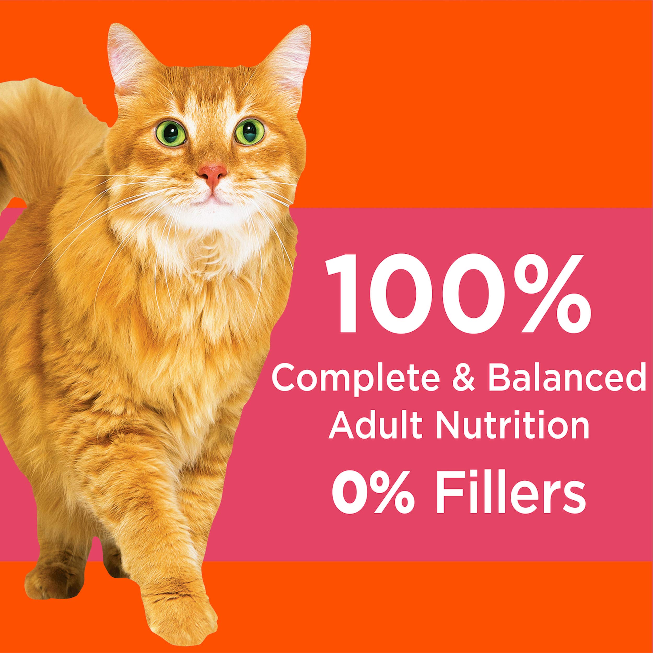 IAMS Proactive Health Adult Healthy Dry Cat Food with Salmon, 16 lb. Bag
