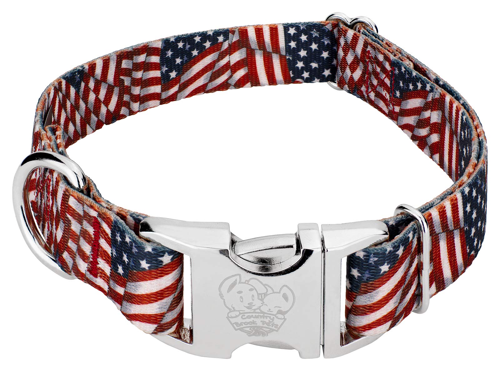 Country Brook Petz - Premium Patriotic Tribute Dog Collar - Americana Collection Featuring Patriotic Designs (1 Inch, Large)