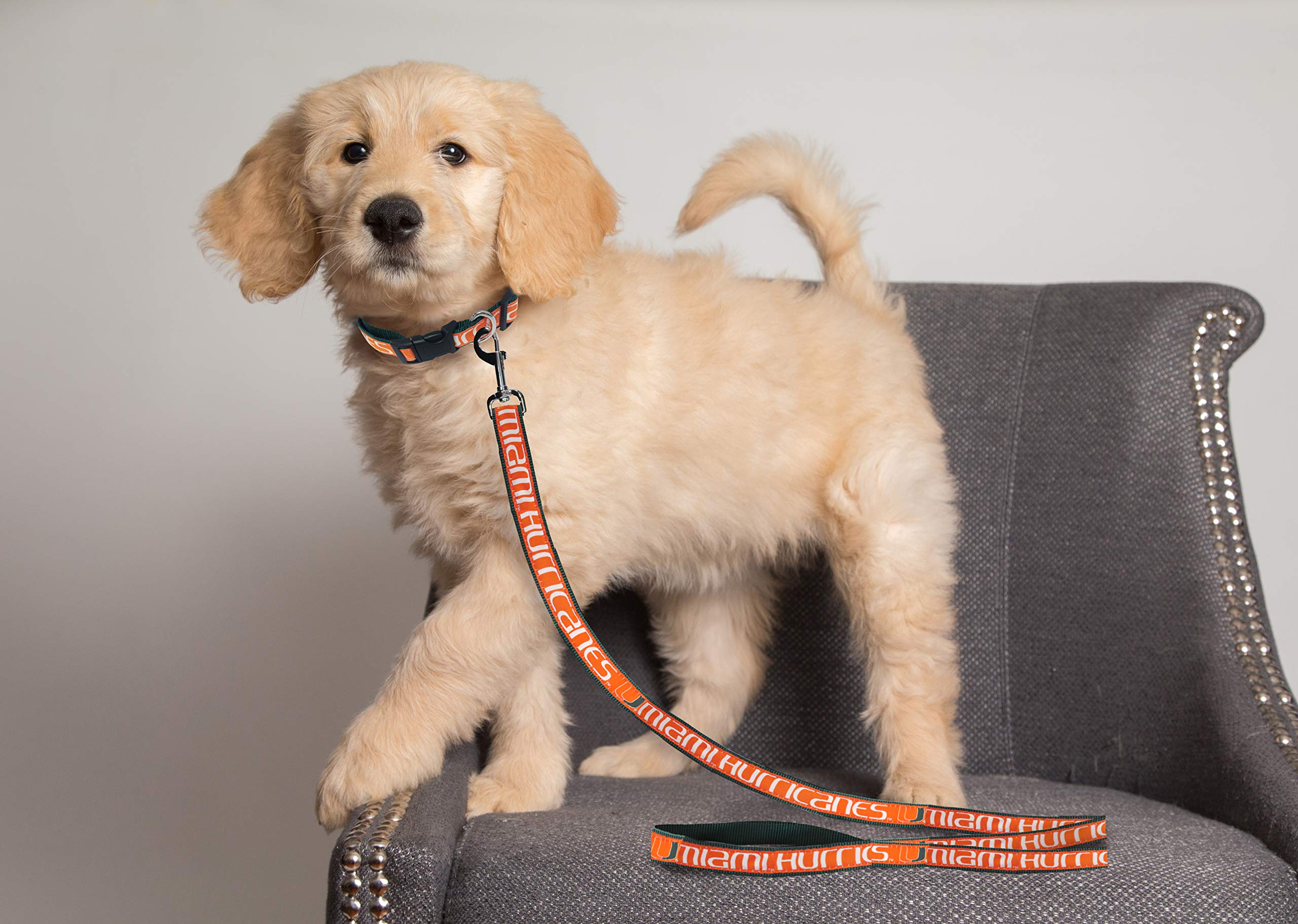 Ncaa Pet Leash, Small, Miami Redhawks, Dog Leash, Shiny & Colorful Leash For Dogs & Cats Licensed By The Ncaa