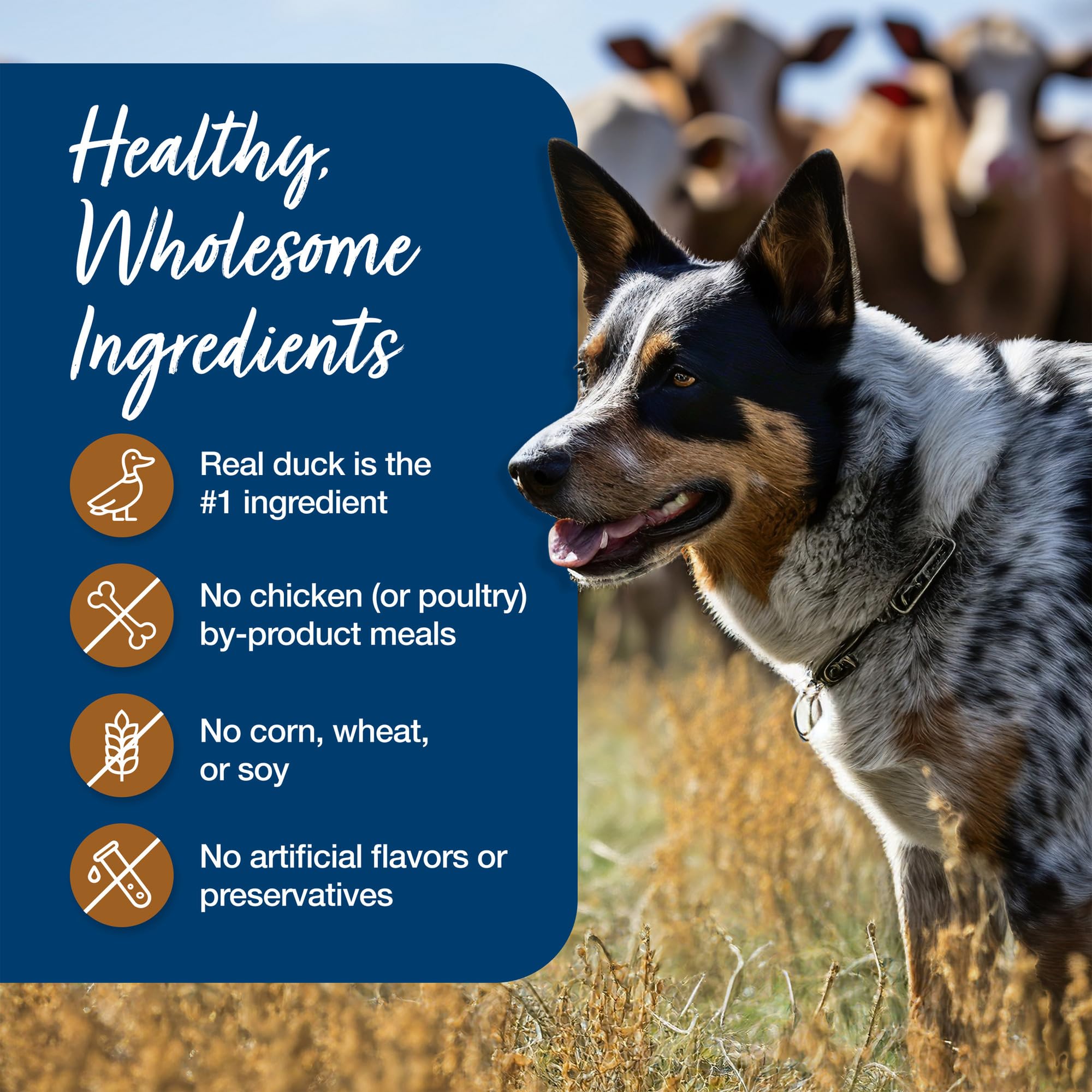 Blue Buffalo Blue s Stew Grain Free Natural Adult Wet Dog Food, Hunter s Stew 12.5 oz cans (Pack of 12)