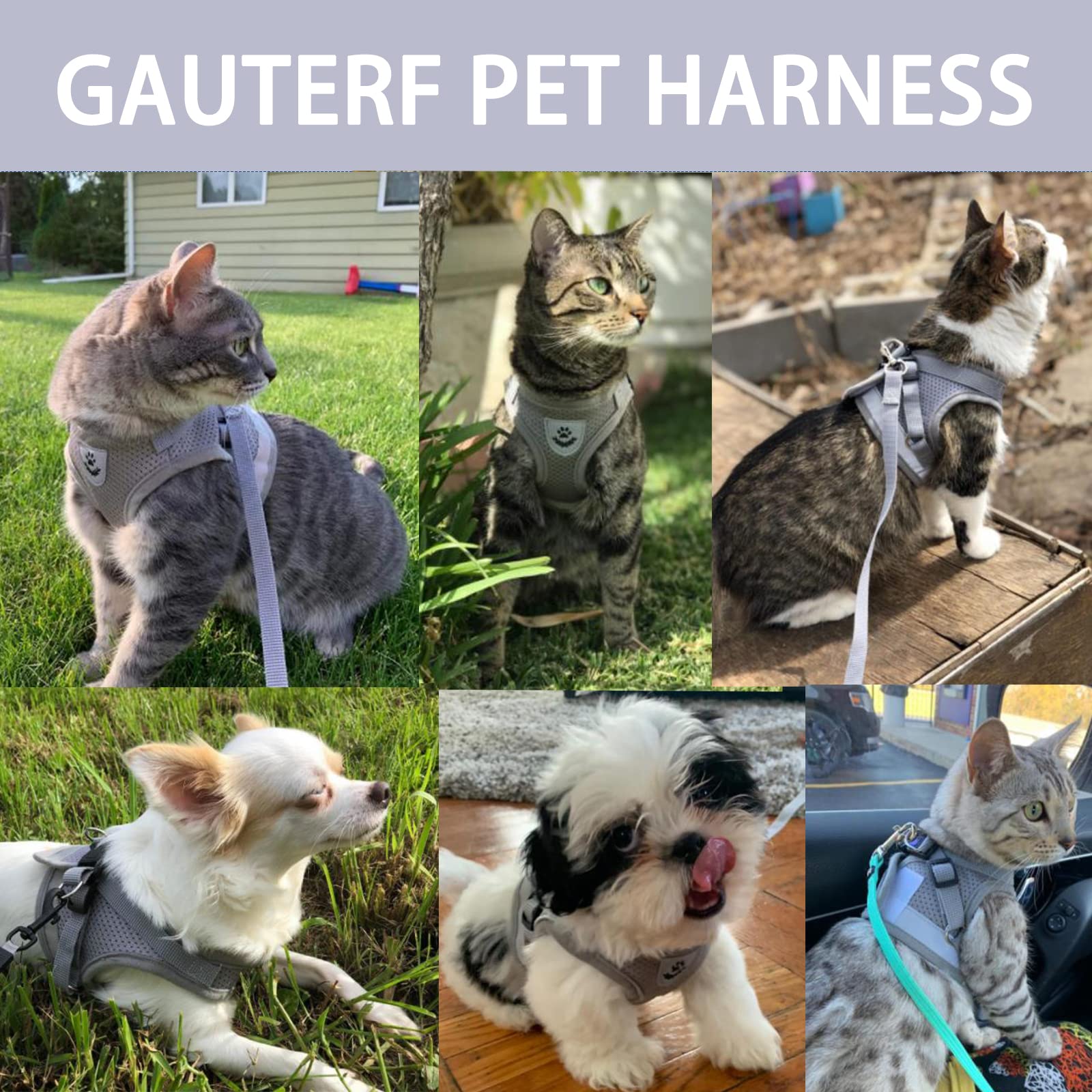 Cat Harnesses And Puppy Harness With Leashes Set, Escape Proof Cat Harness, Adjustable Reflective Soft Mesh Vest Fit Puppy Kitten Rabbit Ferrets'S Outdoor Harness (Grey, Xs, Chest: 6' - 8')