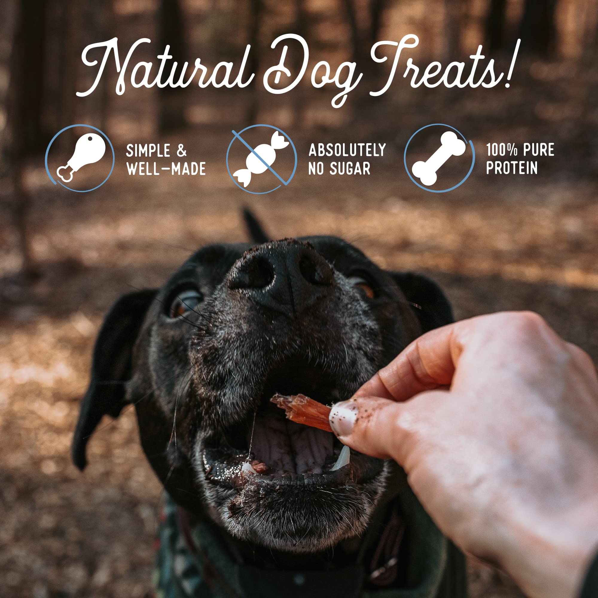 Beg & Barker Turkey Jerky for Dogs (4 Ounce, Pack of 1) - Dog Training Treats - Natural Dog Treats Made in The USA - Grain Free,