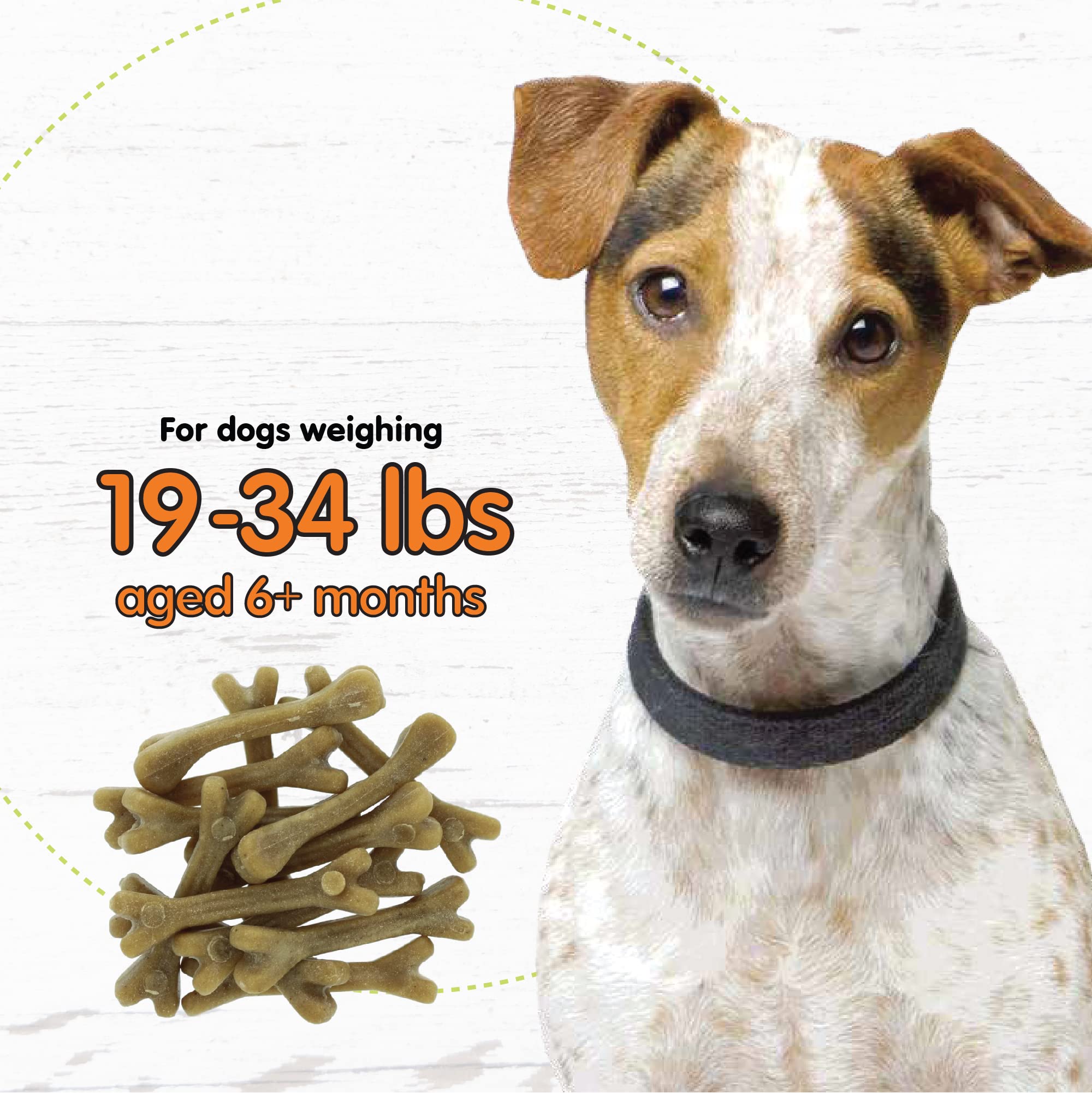 Fido Super Breath Dental Care Bones for Dogs - 4 Count Large Dog Dental Treats for Large Dogs (Made in USA) - Tasty Dog Dental C
