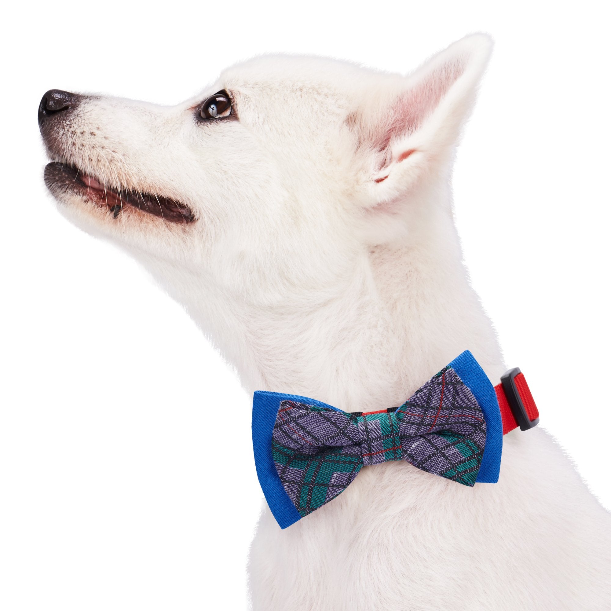 Blueberry Pet Gift Box with Pack of 2 Handmade Dog Cat Bow Tie, Scottish Plaid Tartan Style Bowtie Set in Baby Pink & Blue, 4 *