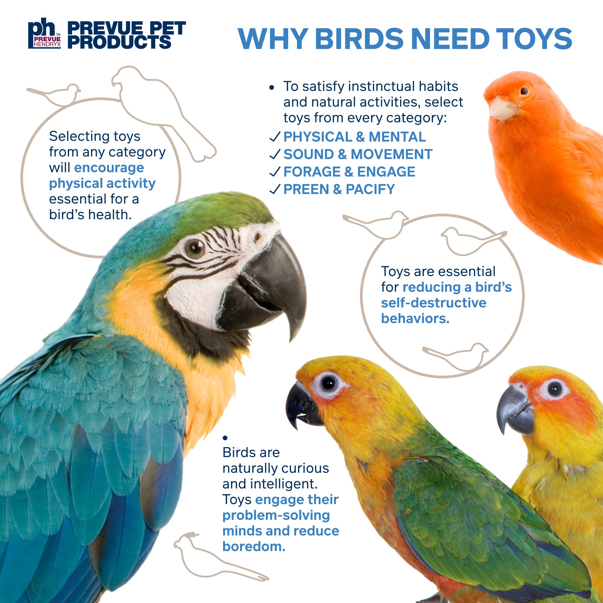 Prevue Pet Products Calypso Creations Dagwood Bird Toy