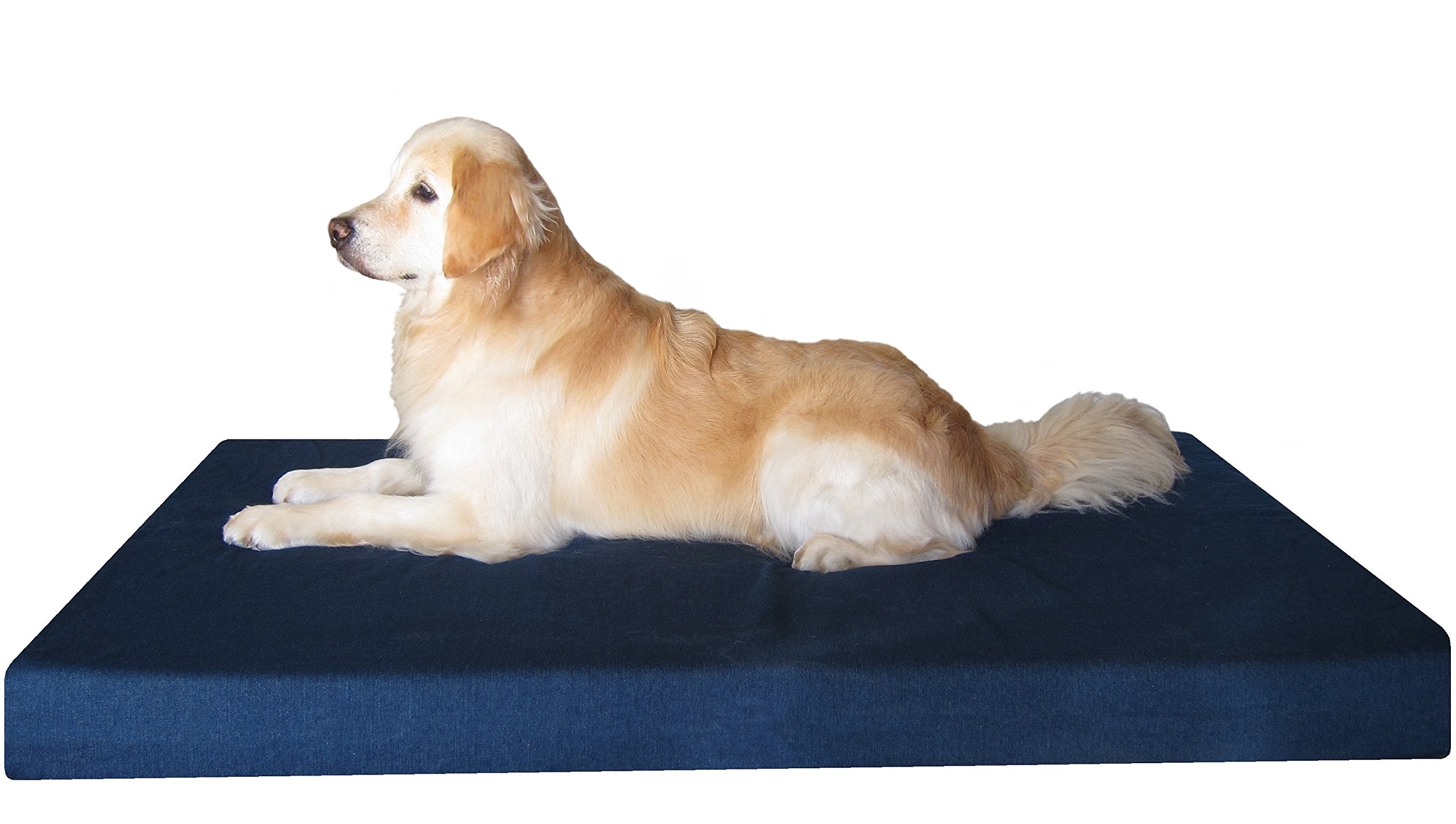 Dogbed4less Luxury XXL Orthopedic Memory Foam Dog Bed for Extra Large Dogs with Durable Waterproof Internal Case, Removable Wash