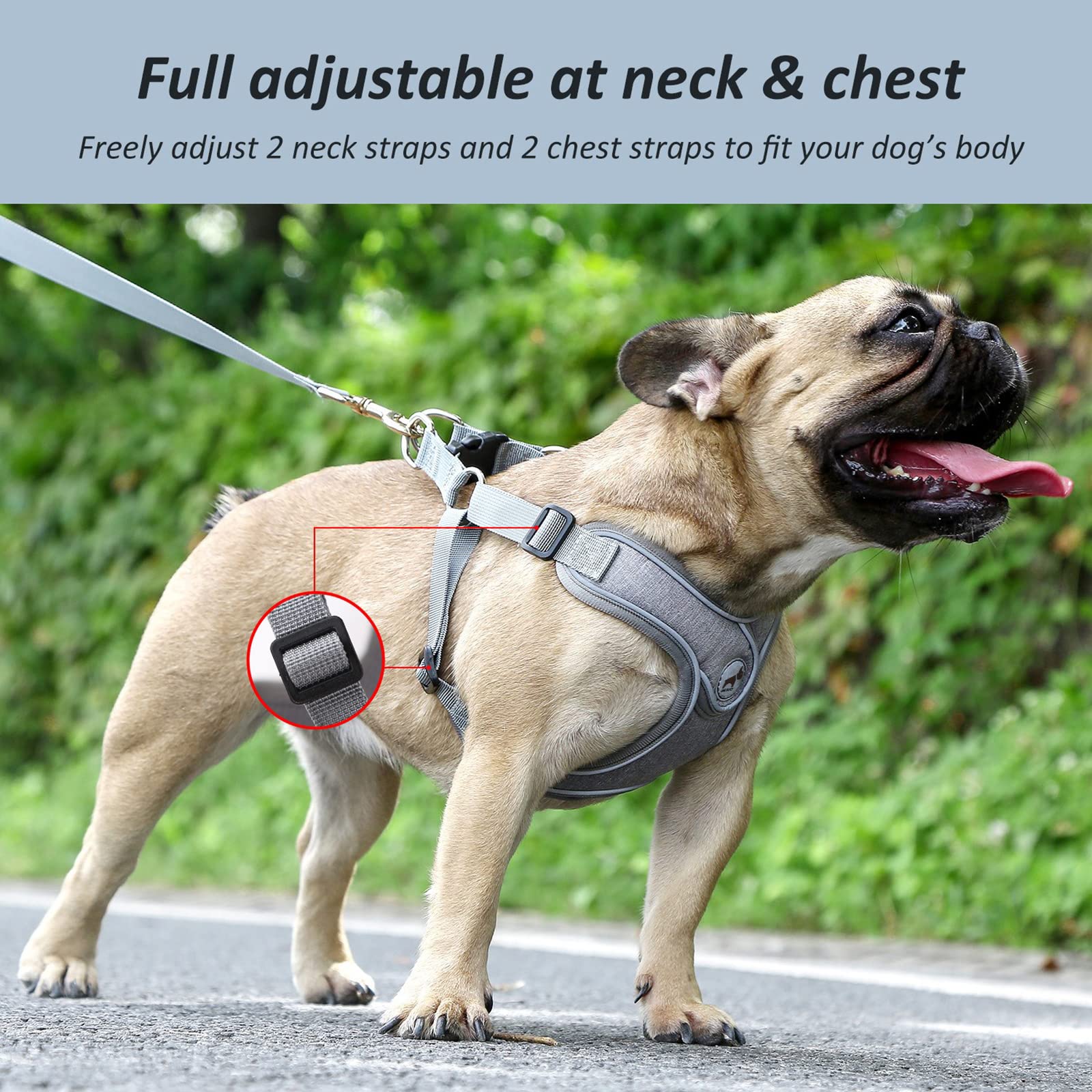 Dog Frenchie Harness with Leash Set, No Pull Adjustable Step in with Breathable Padded Vest Harness for Small Medium Large Dogs