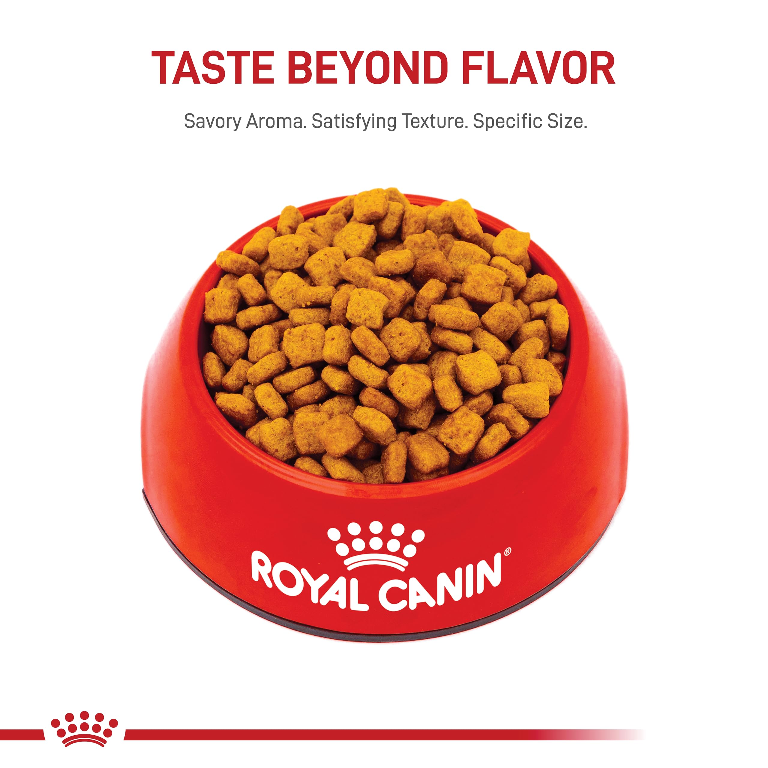 Royal Canin Dachshund Adult Breed Specific Dry Dog Food, 2.5 lb bag