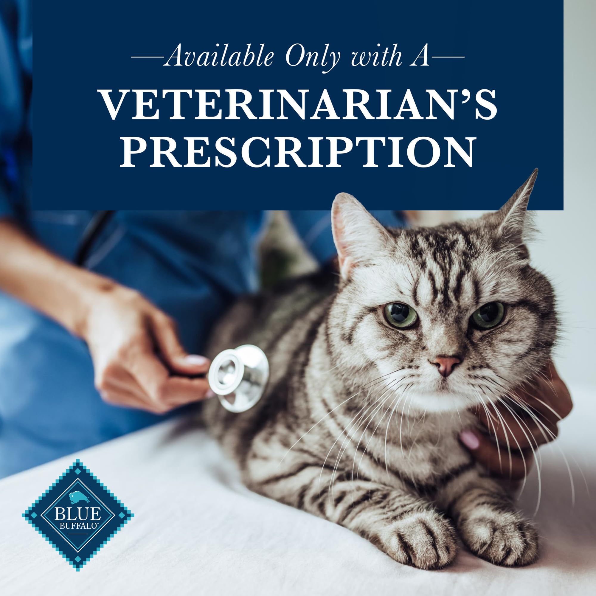 Blue Buffalo Natural Veterinary Diet K+M Wet Cat Food, Kidney + Mobility Support Formula, Veterinarian Prescription Required, Ch
