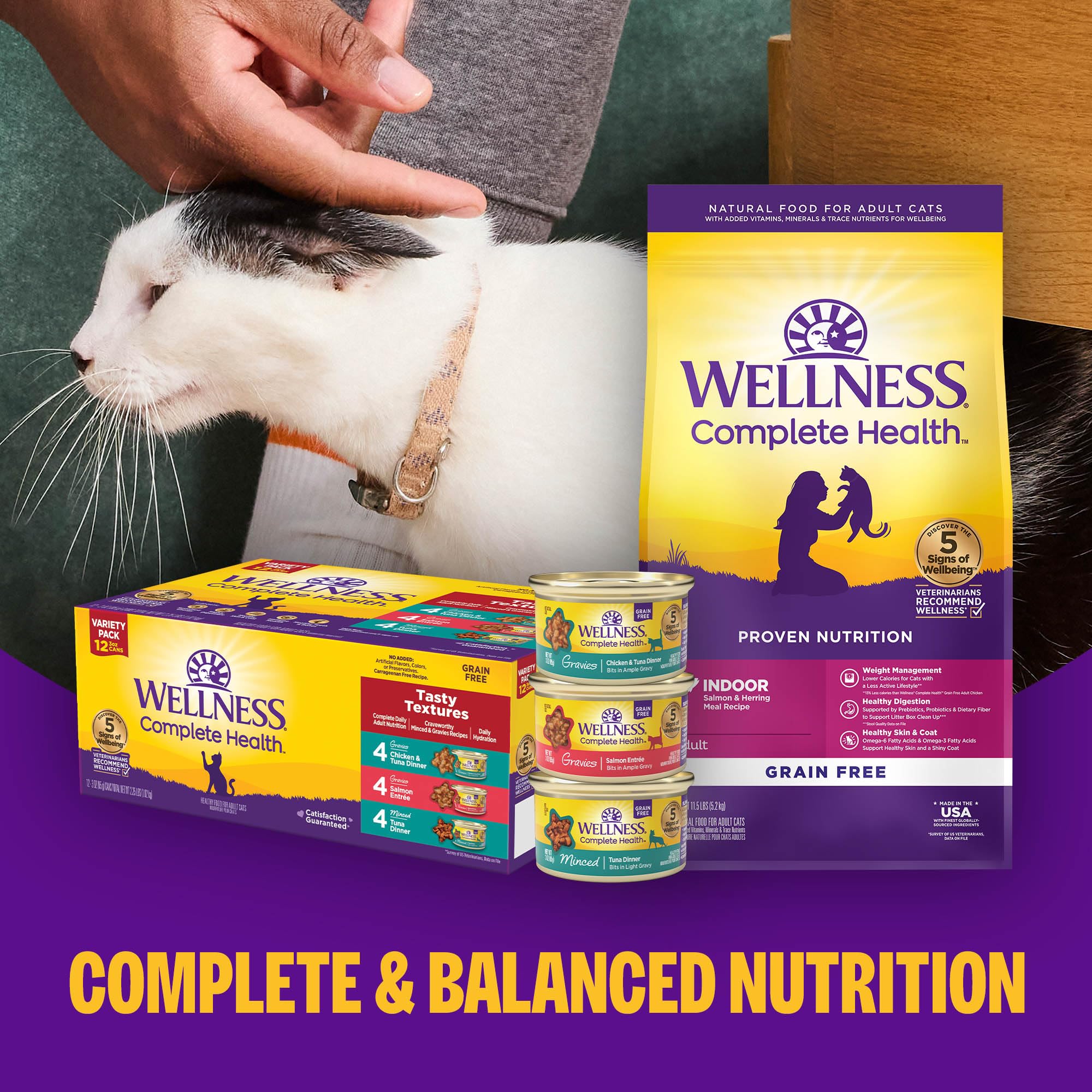 Wellness Complete Health Grain-Free Wet Canned Cat Food, Natural Ingredients, Made with Real Meat, All Breeds, Smooth Pate (Beef