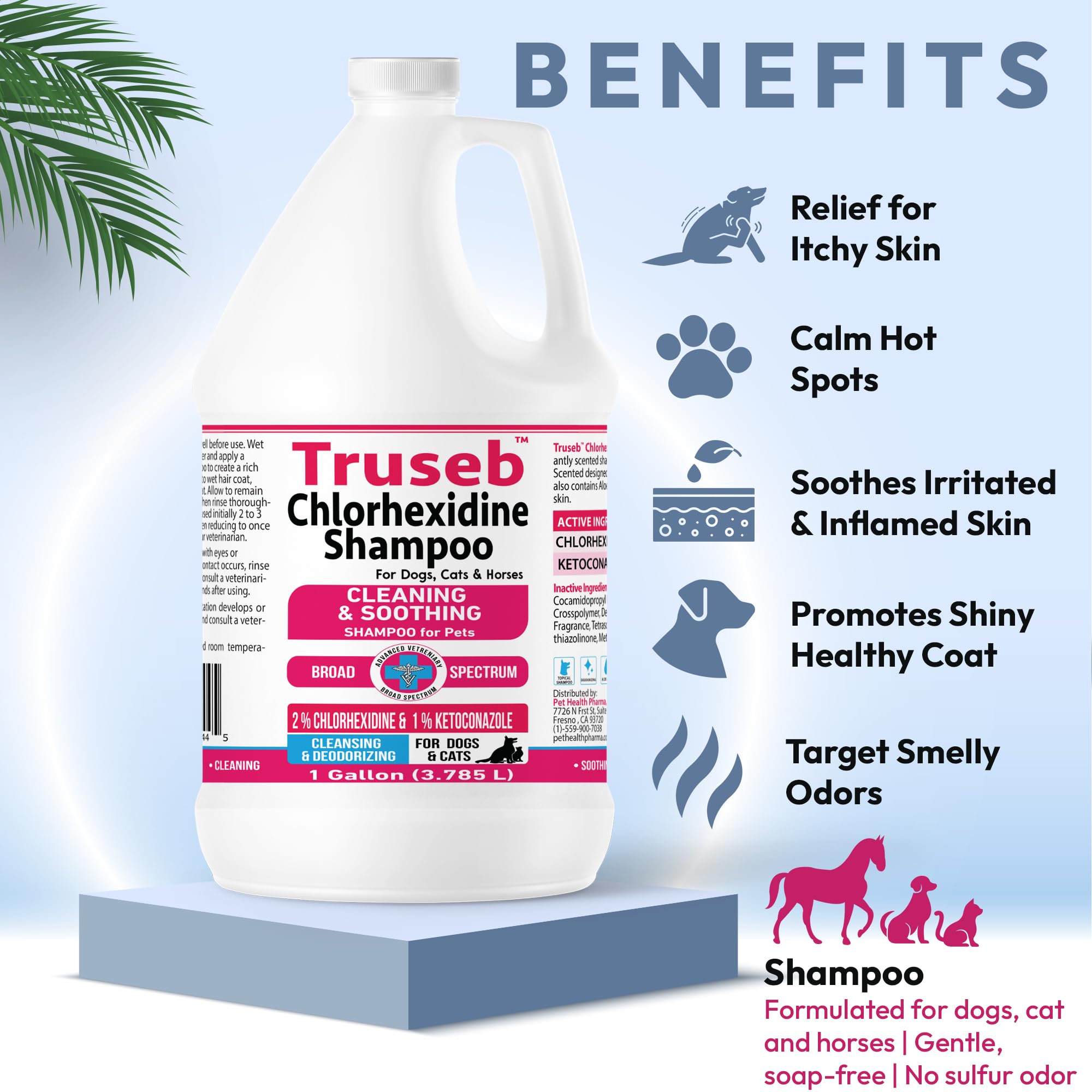 Pet Health Pharma Truseb Shampoo for Dogs, Cats & Horses - Ketoconazole & Chlorhexidine, 1 Gallon, Plastic, Cucumber Melon Scent