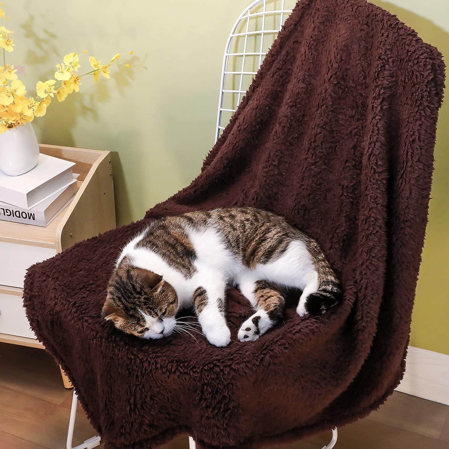 Xinsource 2 Pack Dog Blanket For Large Size Dogs Cats Soft Sherpa Fleece Pet Blanket Throw For Sofa, Couch Thick Durable Pet Bed
