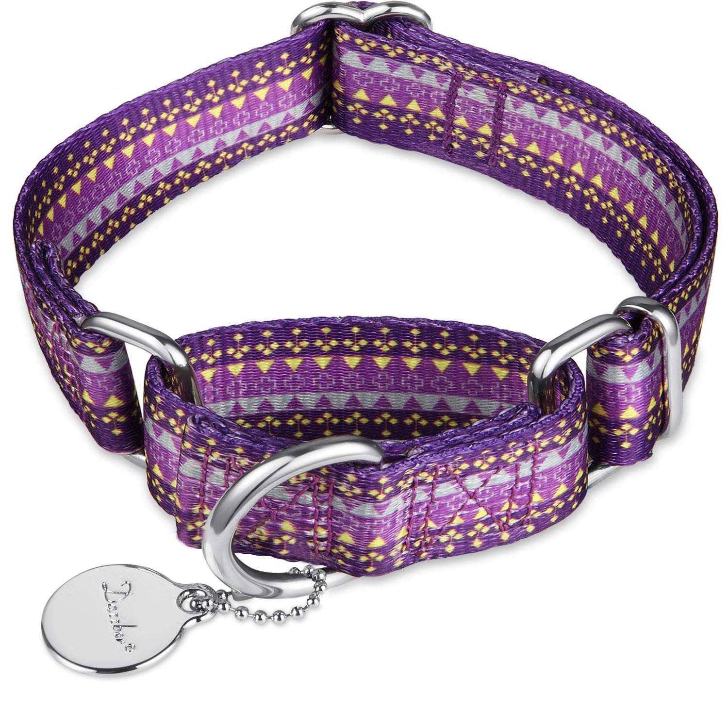Dazzber Martingale Collar Nylon Dog Collar No Pull Pet Collar Heavy Duty For Medium And Large Dogs, Adjustable 14 Inch - 21 Inch, Sky Blue