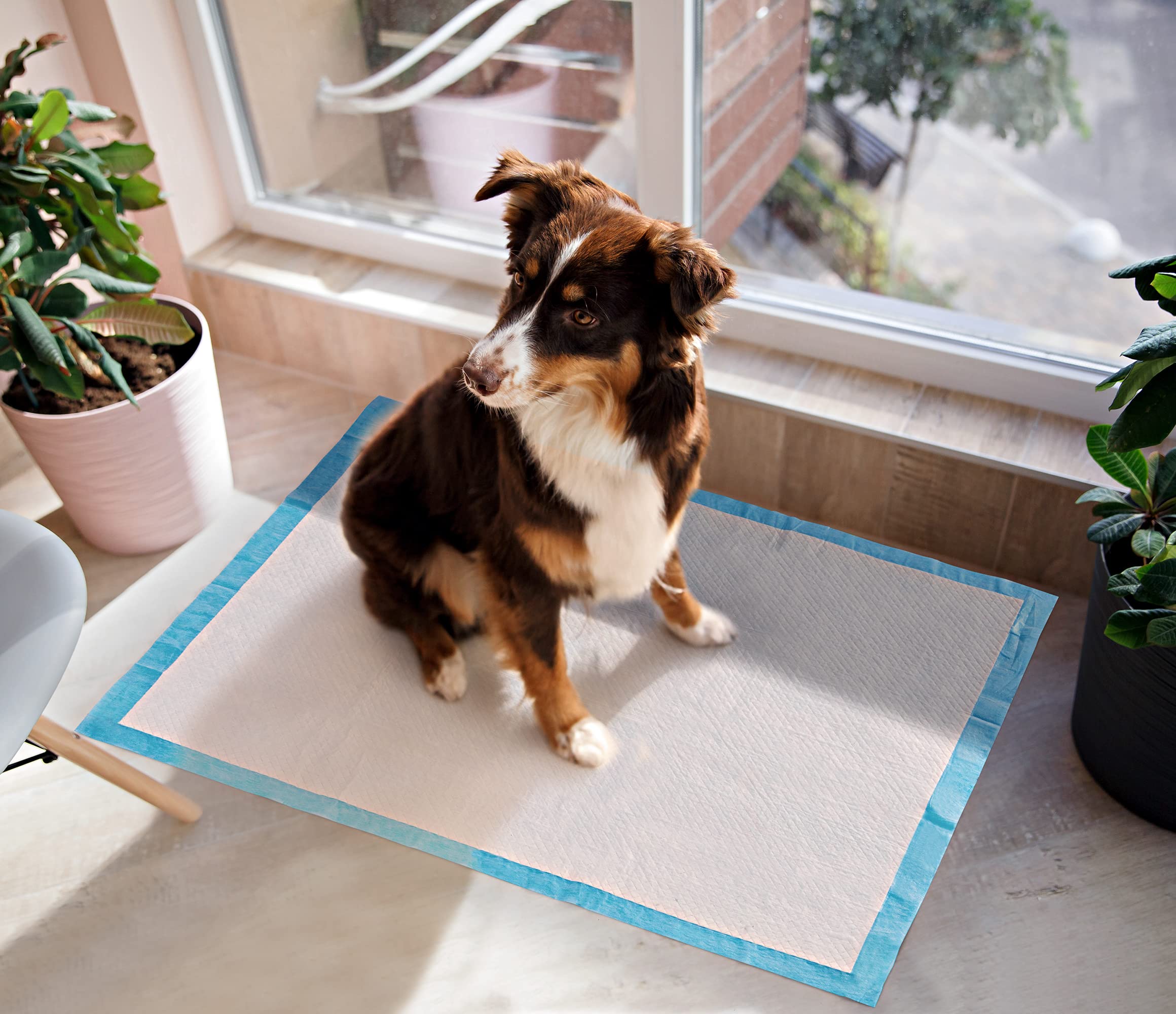 BESTLE Super Absorbent Puppy Pads 22x22 - Leak-Proof, 100-Count Pee Pads for Dogs