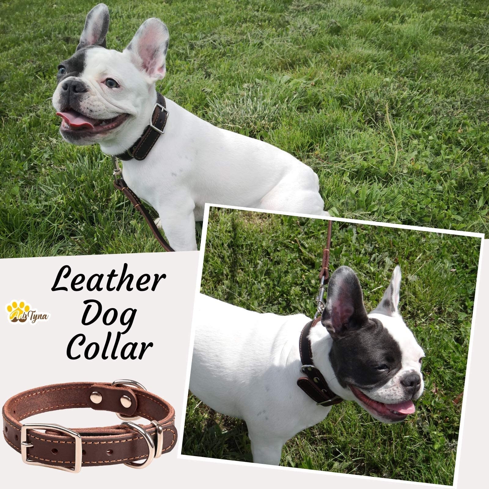 Adityna Heavy Duty Leather Dog Collar For Small Dogs - Small Dog Collar Gift Iddea For Dog Lovers - Soft And Strong Dog Collar For Puppies (Small, Brown)