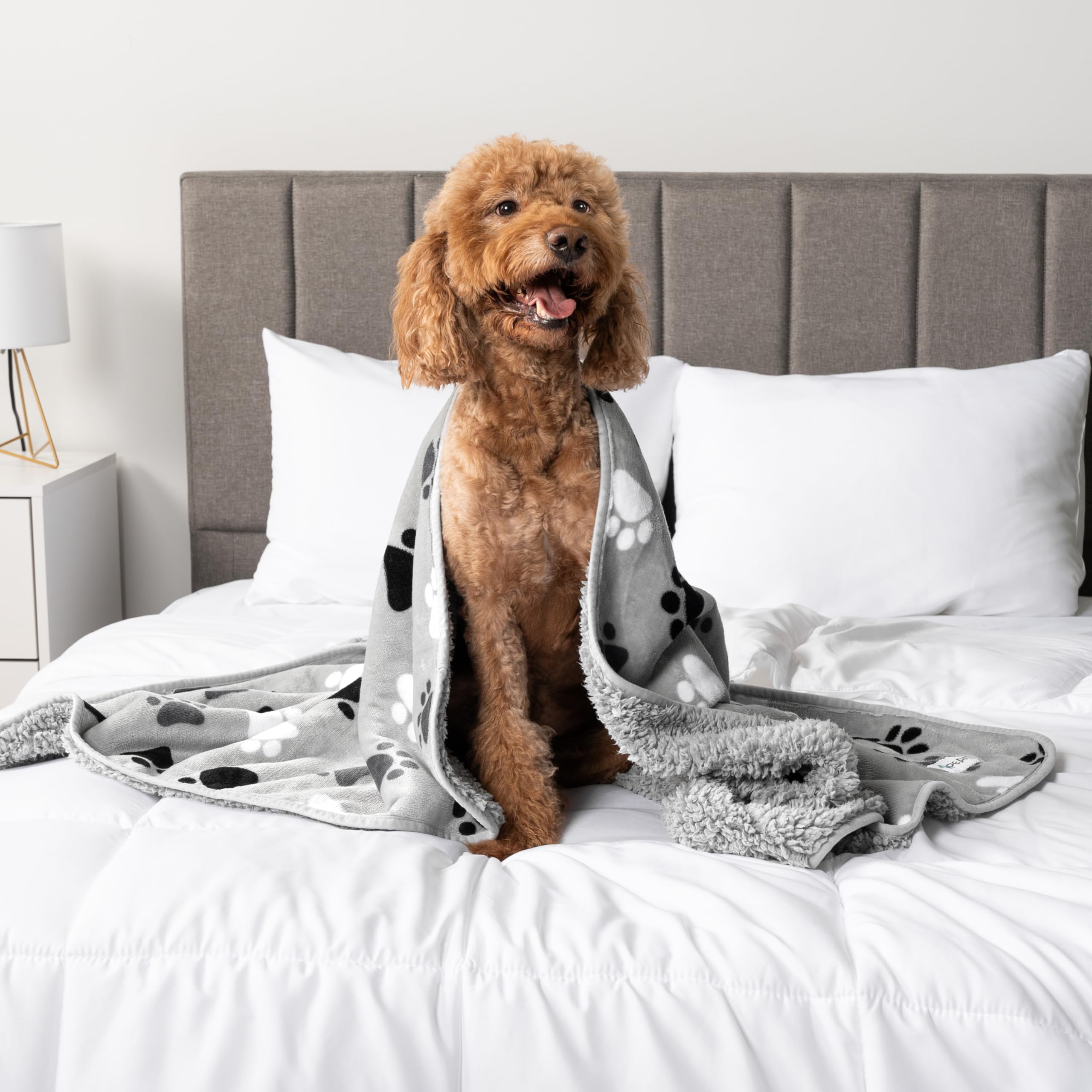 Petami Waterproof Dog Blanket For Extra Large Dogs, Pee Proof Pet Blanket For Bed Couch, Reversible Water Proof Blanket For Puppy Indoor Cat, Soft Dog Crate Cover Washable, Queen 90X90 Paw Gray