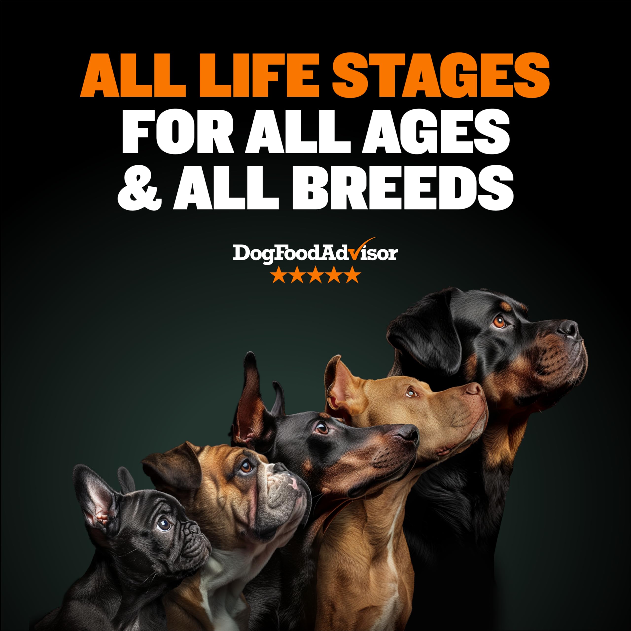 Bully Max Dry Dog Food for Adults & Puppies - High Protein & Fat for Muscle & Weight Gain - High Performance Dog Food Supplement