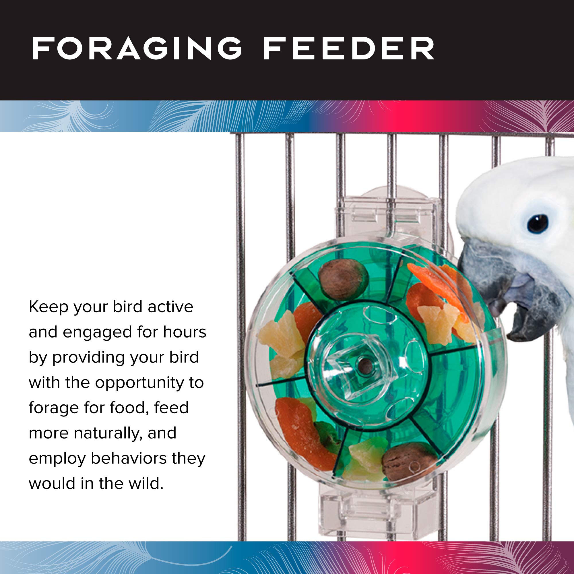 Featherland Paradise | Creative Foraging Systems Bird Cage Feeder (Gen II) - Extra Large| Intermediate Level Foraging Wheel | In