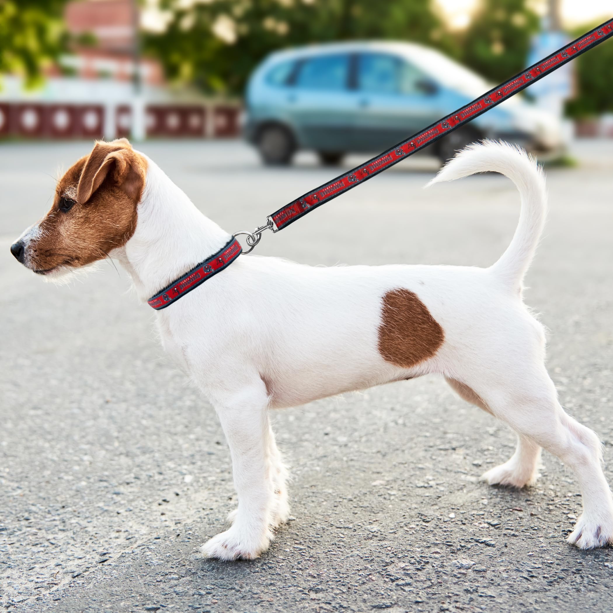 Tampa Bay Buccaneers Leash