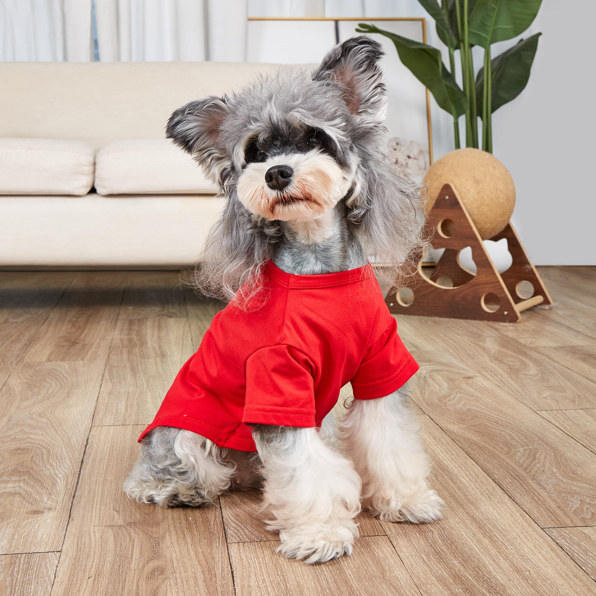 Mengmengda Dog Shirt For Small Medium Dogs Male Famale,Outdoor Cartoon Clothes For Dogs, Schnauzer, Chihuahua, Dachshund, Puppy