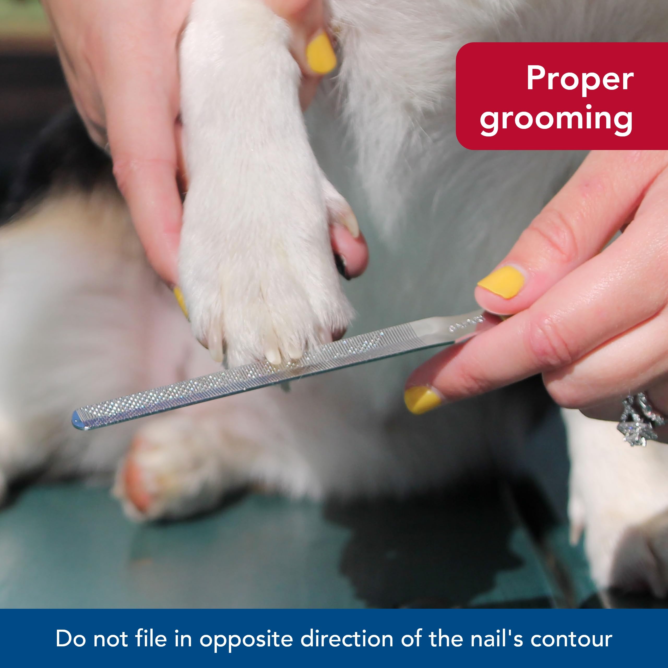 Coastal Pet Safari Dog Nail File - Ensure A Smooth Finish After Cutting - Remove Burs From Outdoor & Indoor Dogs - One Size