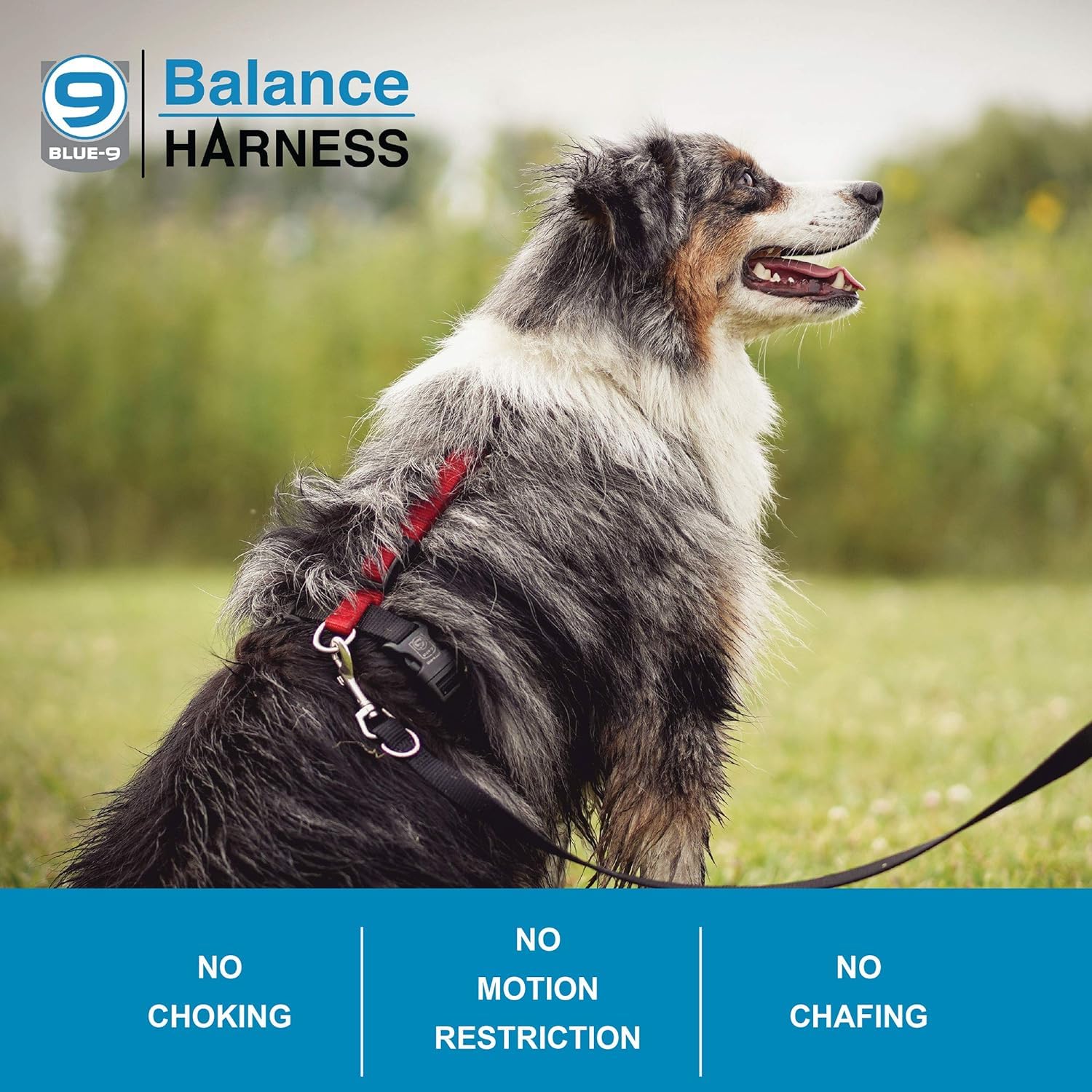 Blue-9 Buckle-Neck Balance Harness, Fully Customizable Fit No-Pull Harness, Ideal For Dog Training And Obedience, Made In The Usa, Orange, X-Small
