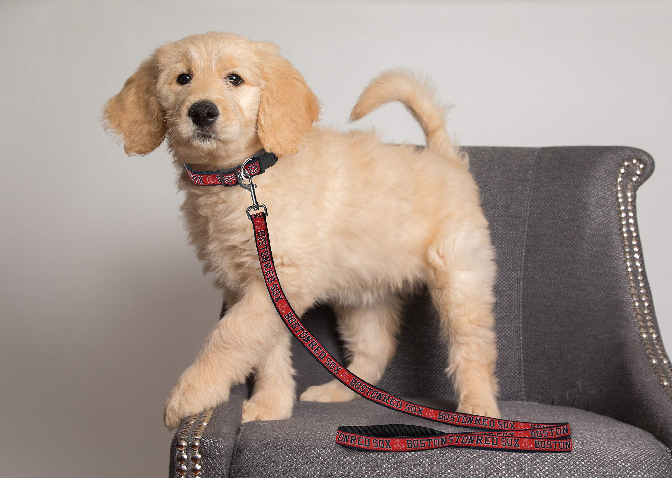 Mlb Pet Leash, Large, Boston Red Sox Dog Leash, Baseball Team Leash For Dogs & Cats. A Shiny & Colorful Dog & Cat Leash With Emboridered Team Name/Logo Licensed By The Mlb