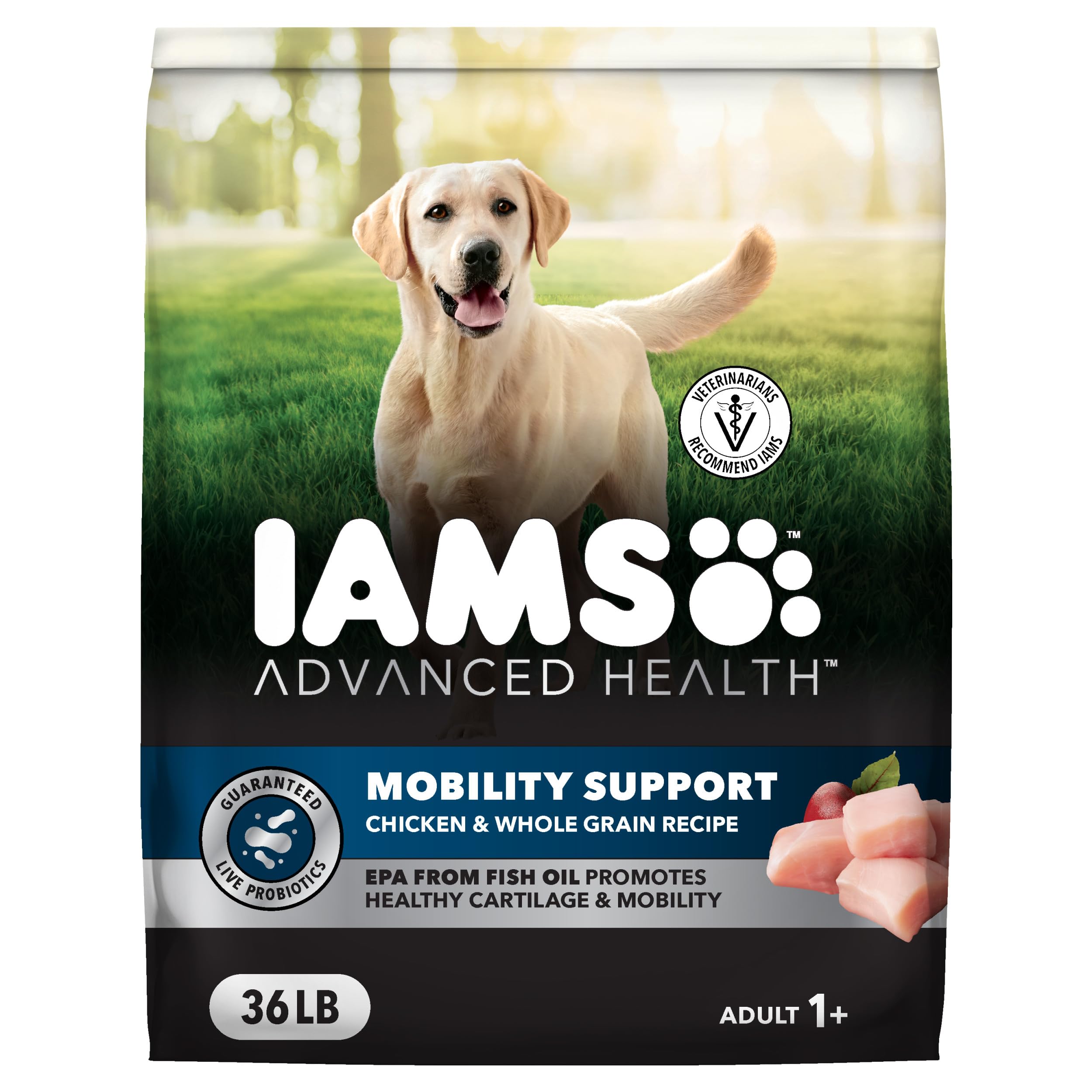 IAMS Advanced Health Mobility Support Chicken and Whole Grain Recipe Adult Dry Dog Food, 36 lb. Bag
