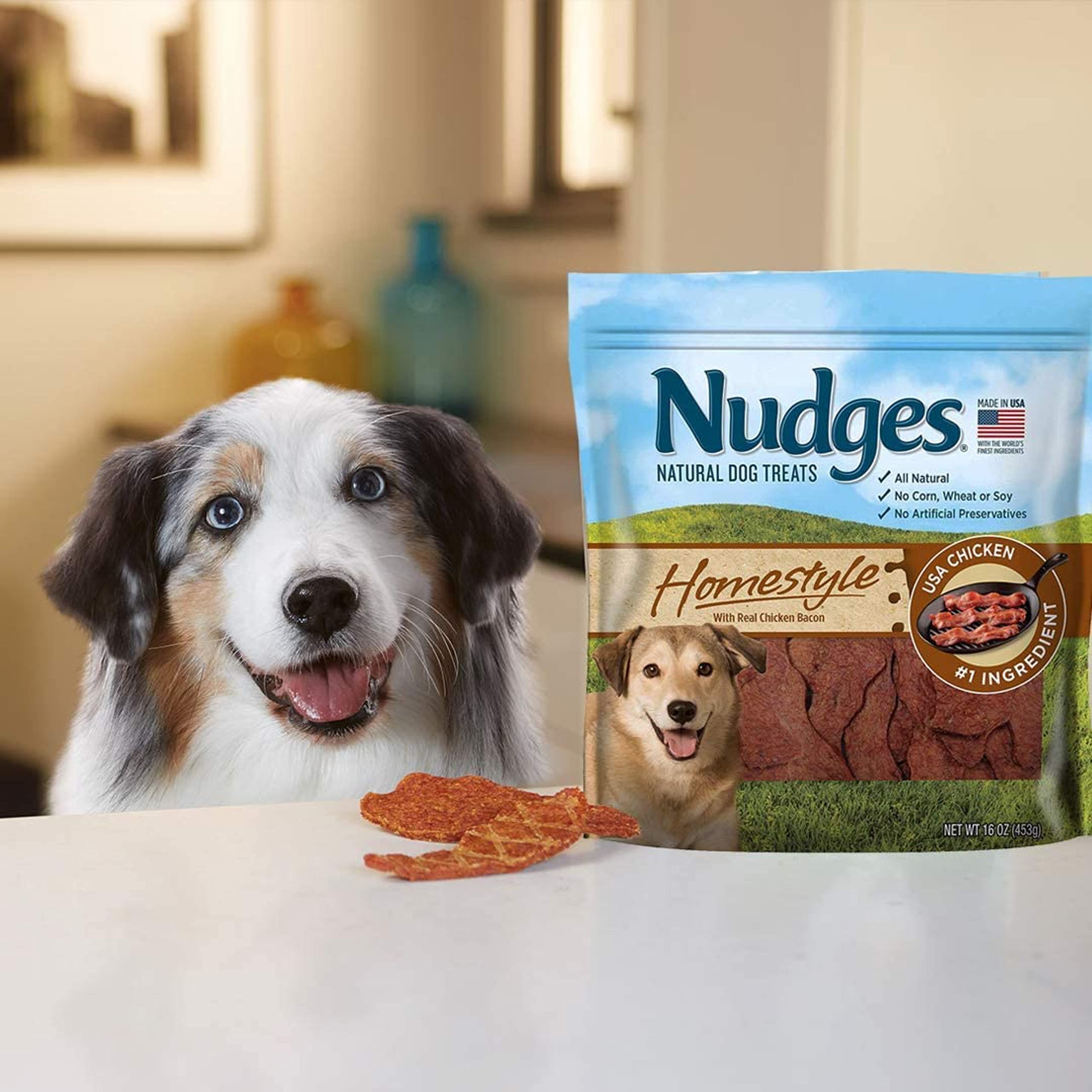 Blue Buffalo Nudges Homestyle Natural Dog Treats, Chicken and Bacon, 16oz Bag