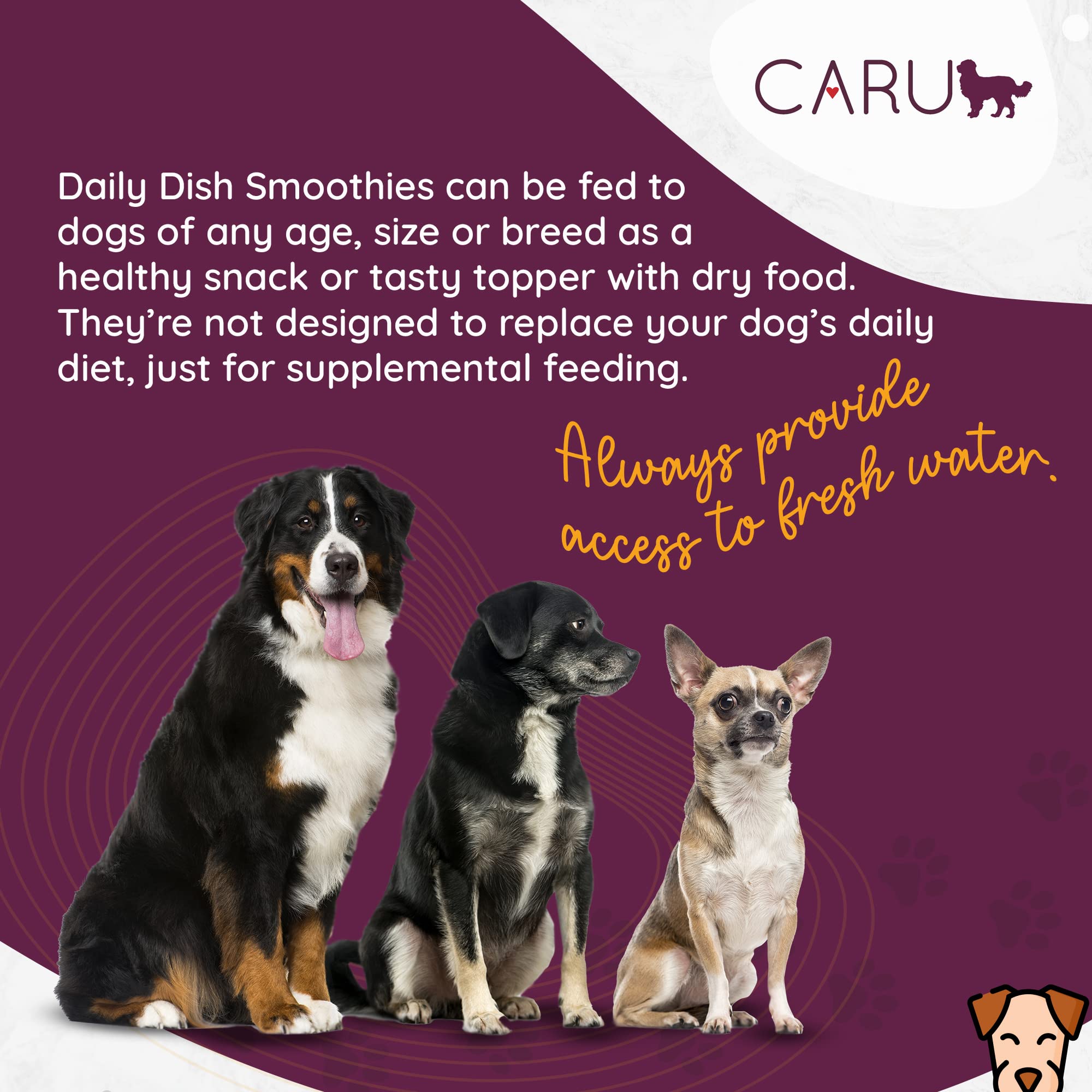 CARU - Daily Dish Smoothies - Lickable Chicken Dog Treat - 4 Pack - .5oz Tubes