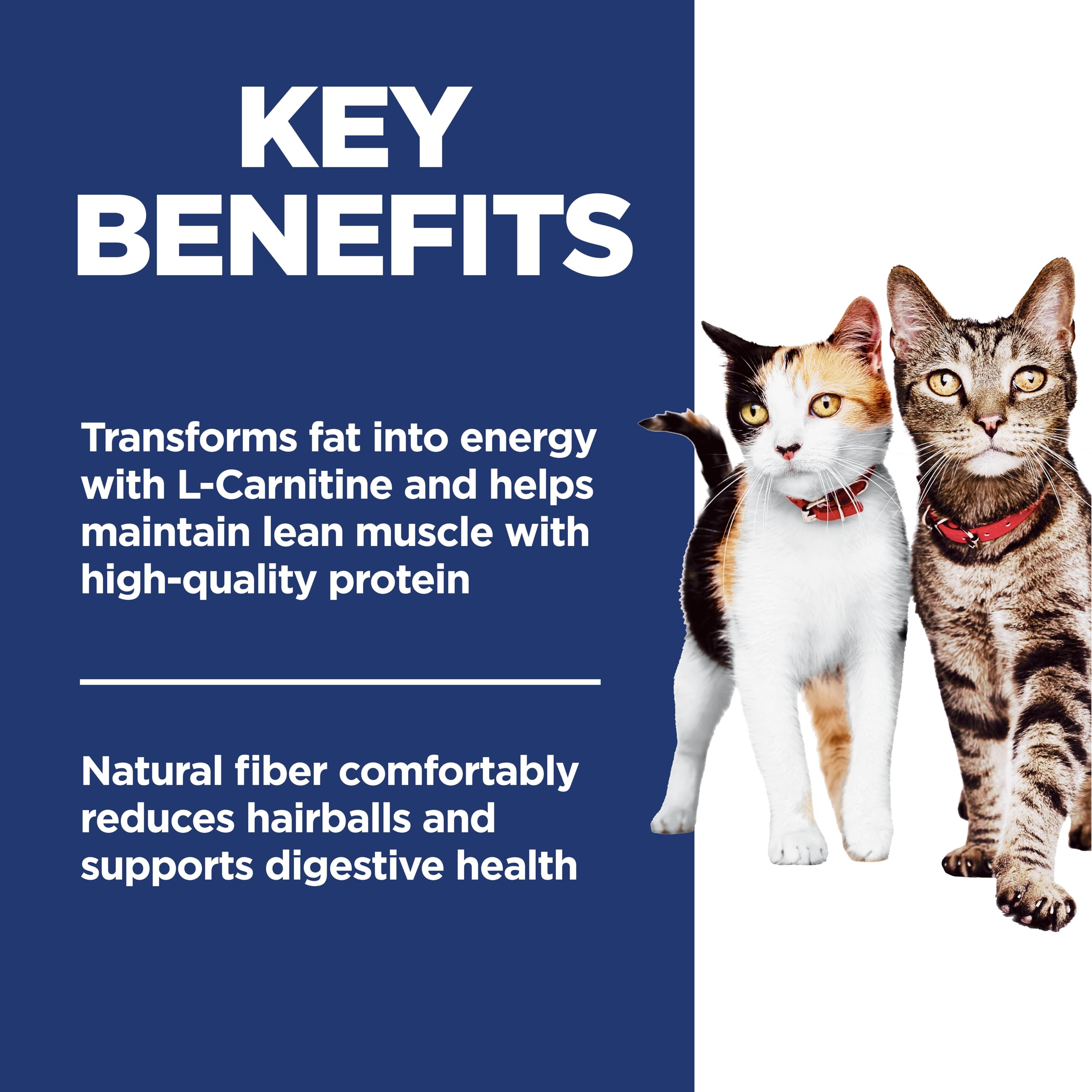 Hills Science Diet Multi-Benefit, Adult 1-6, Multiple Benefit, Dry Cat Food, Chicken Recipe, 7 lb Bag