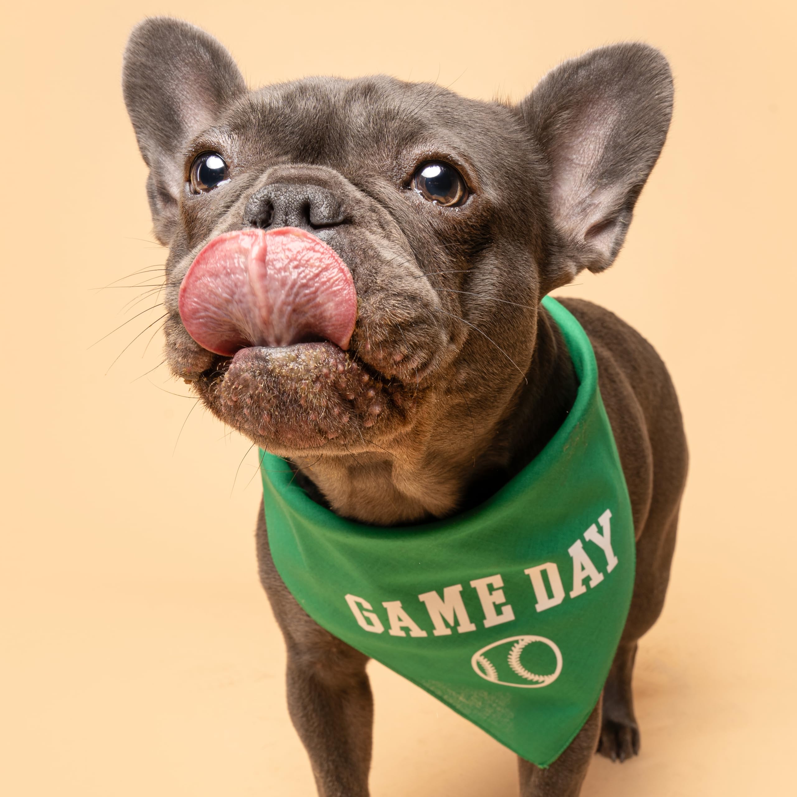 Game Day Baseball Dog Bandana (1054 Red, X-Small)