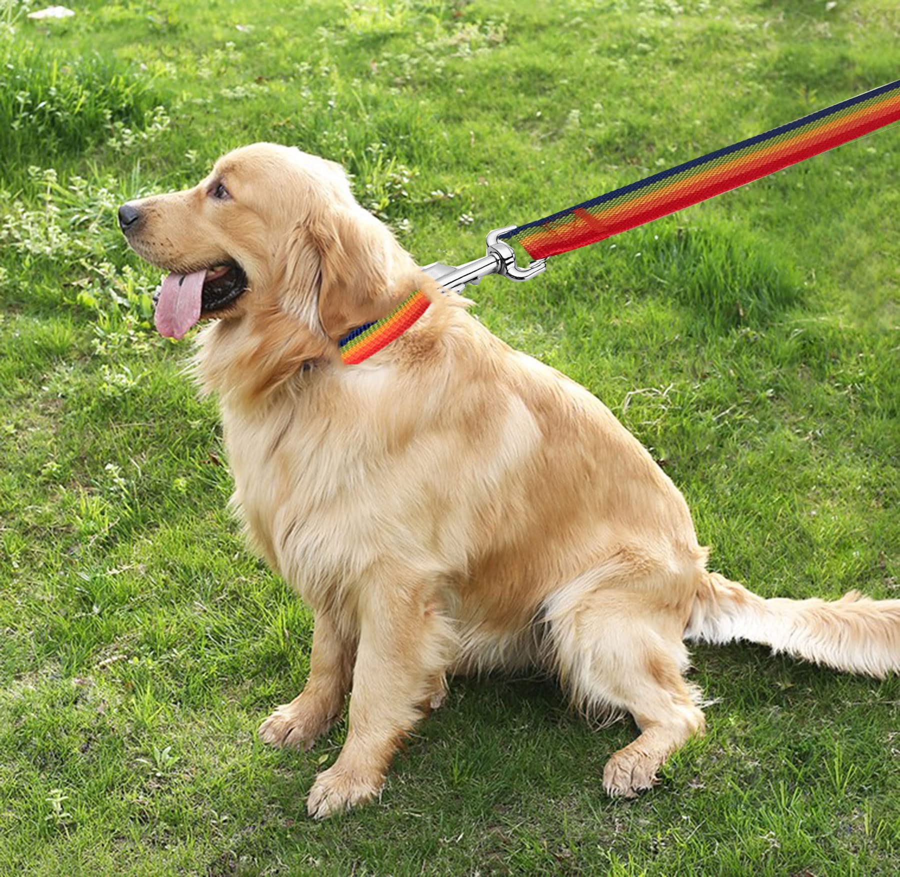 Taian 4Ft/5Ft/6Ft Strong Dog Leash, Nylon Dog Leashes For Small Medium Large Dogs (1 In X 5 Ft, Rainbow)