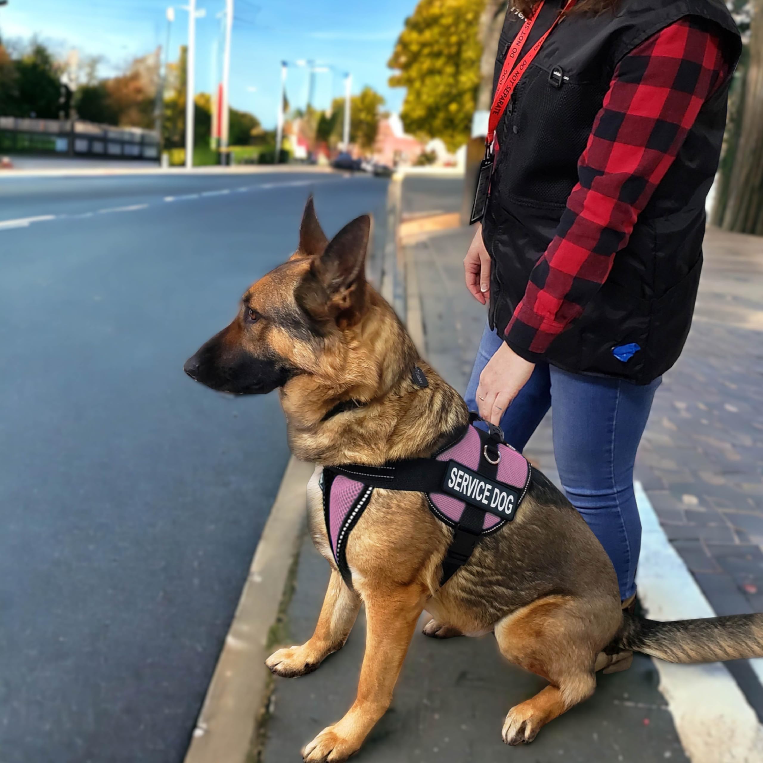 Activedogs Full Service Dog Kit - Xl Pink - Service Dog Vest Harness With Handle, Service Dog Id, Id Holder, Ada Service Dog Cards, Medical Alert Keychain, Service Dog Leash & Service Dog Patches