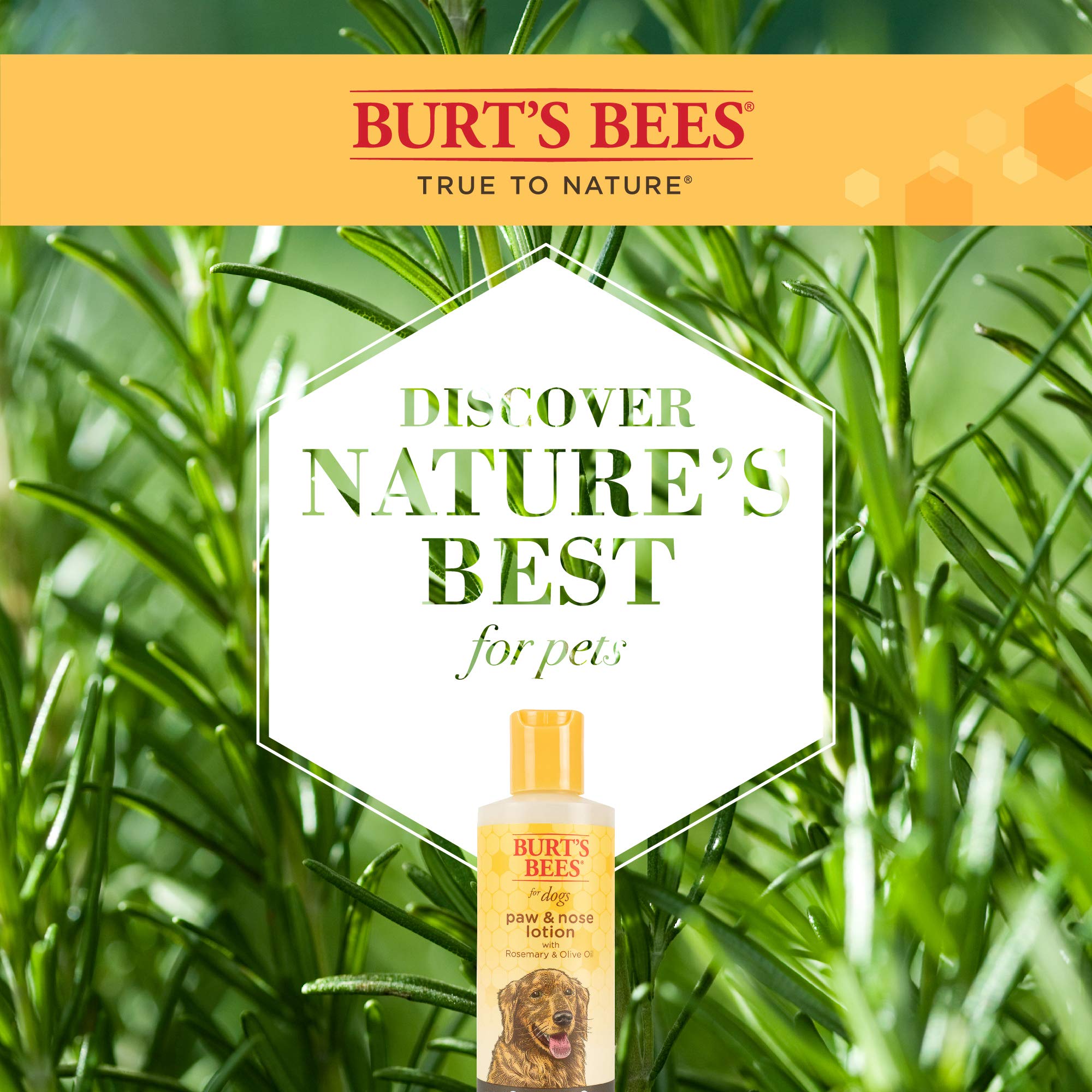 Burt'S Bees For Pets Paw And Nose Lotion With Rosemary And Olive Oil, 99.7% Natural Origin Formulas, Dog Paw Pad Lotion, Paw Moisturizer For Dogs, Dog Nose Lotion, 4Oz