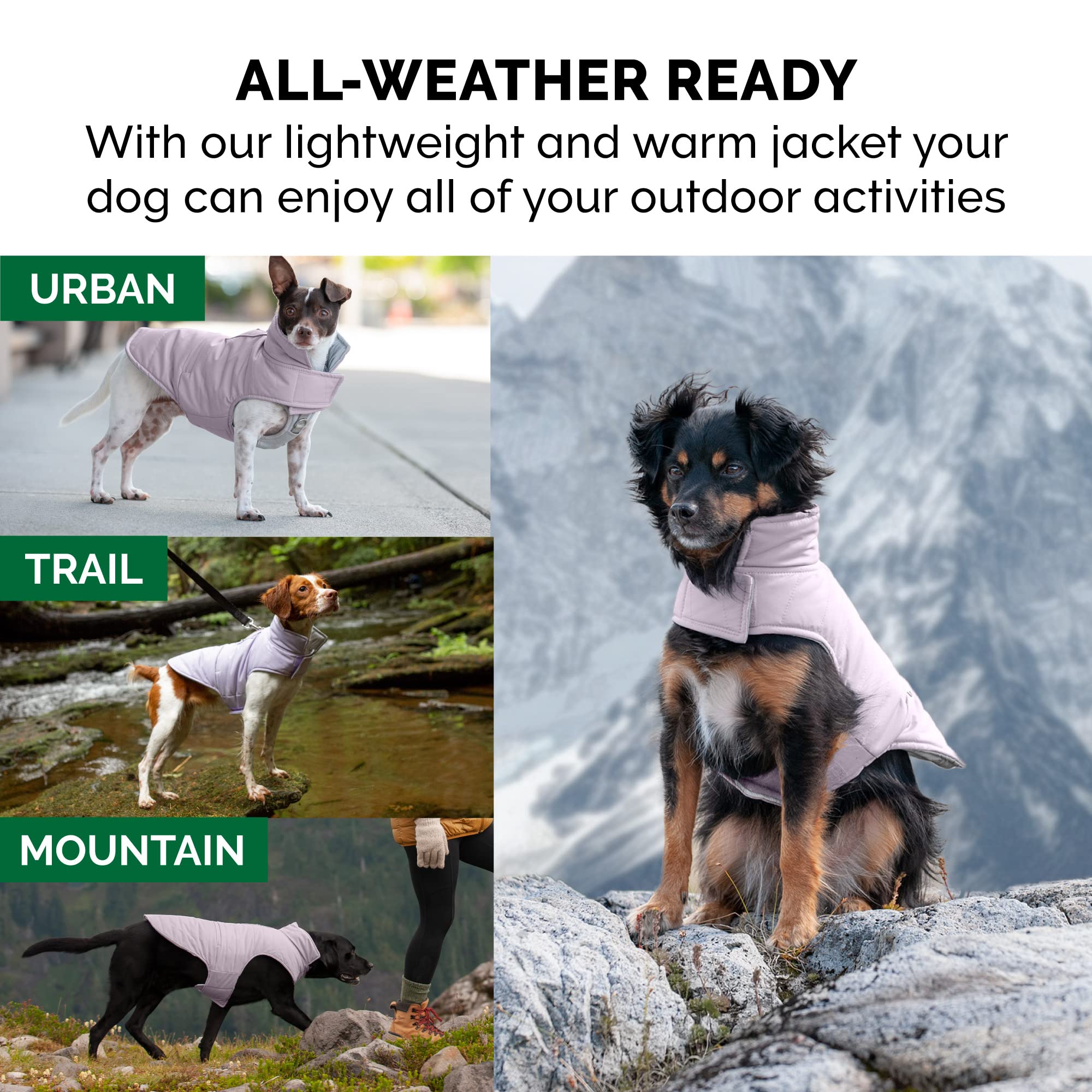 Furhaven Water-Repellent & Reversible Large Dog Coat, Washable & Reflective w/ Leash Access, Pocket, & Carry-On Purse - Puffer D