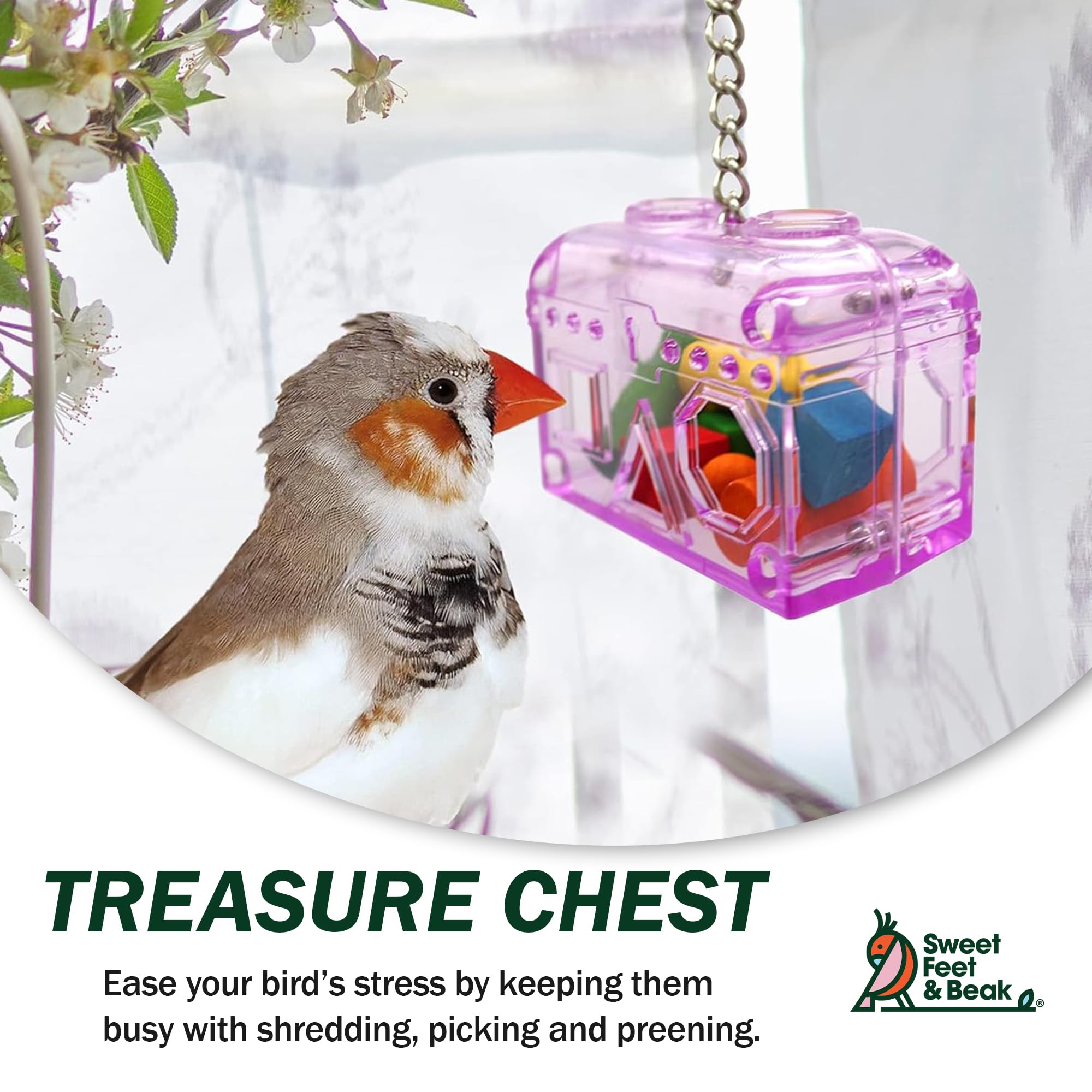 Sweet Feet and Beak Large or Small Treasure Chest - Perfect Bird Cage Toy Colorful, Safe, Easy to Install - Washable, Refillable