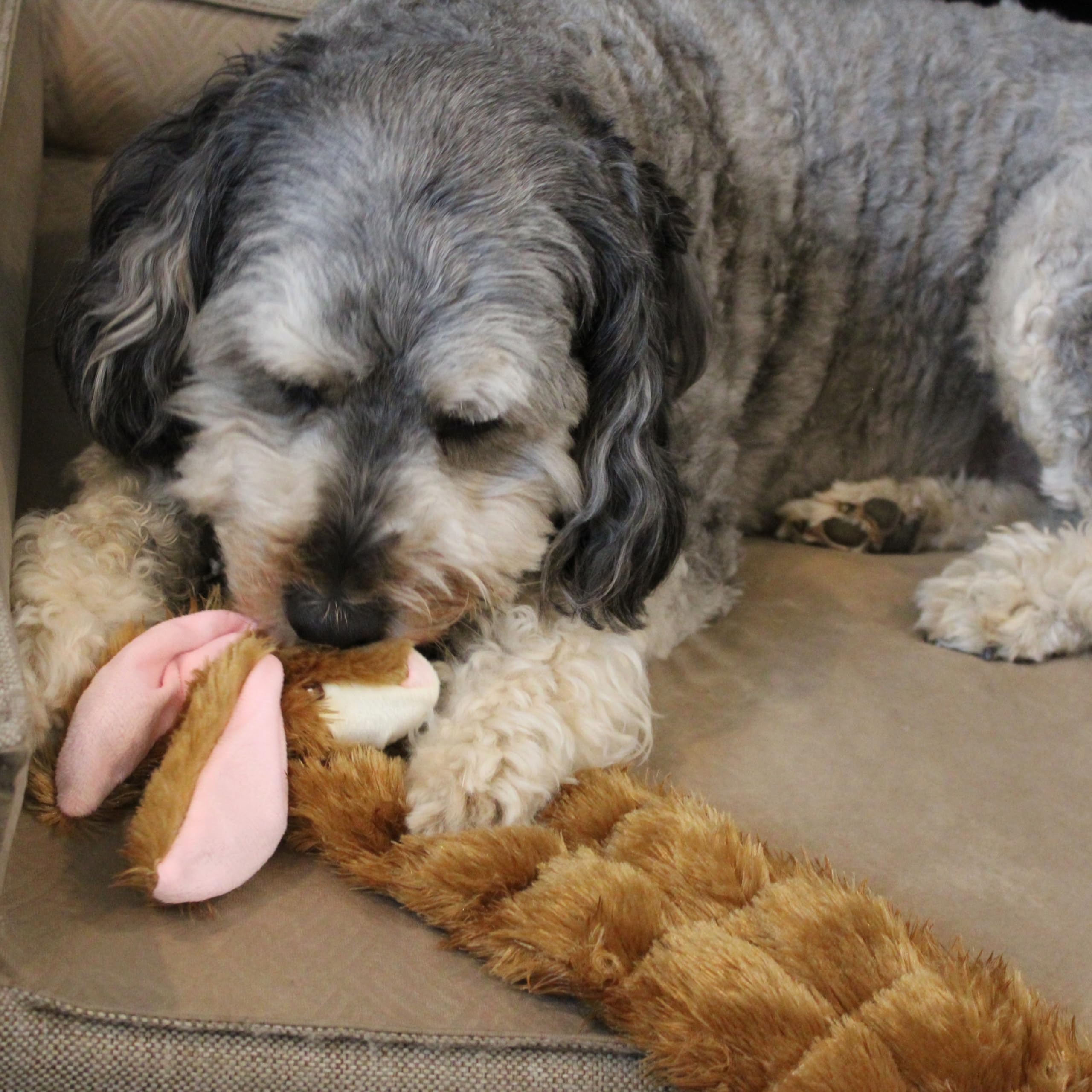 Skinn20' Rabbit Dog Toy
