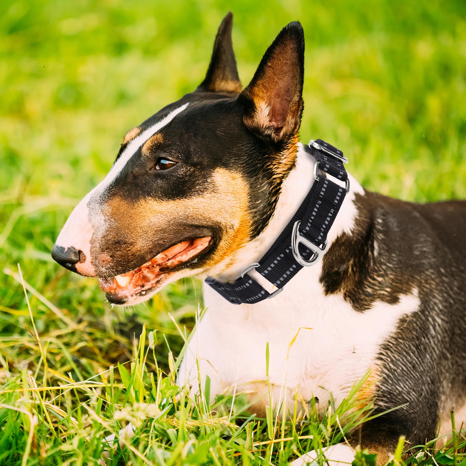 Onefojojo Martingale Collar For Medium Dogs Reflective Nylon Dog Collar With Quick Release Buckle Adjustable Training No Slip Do