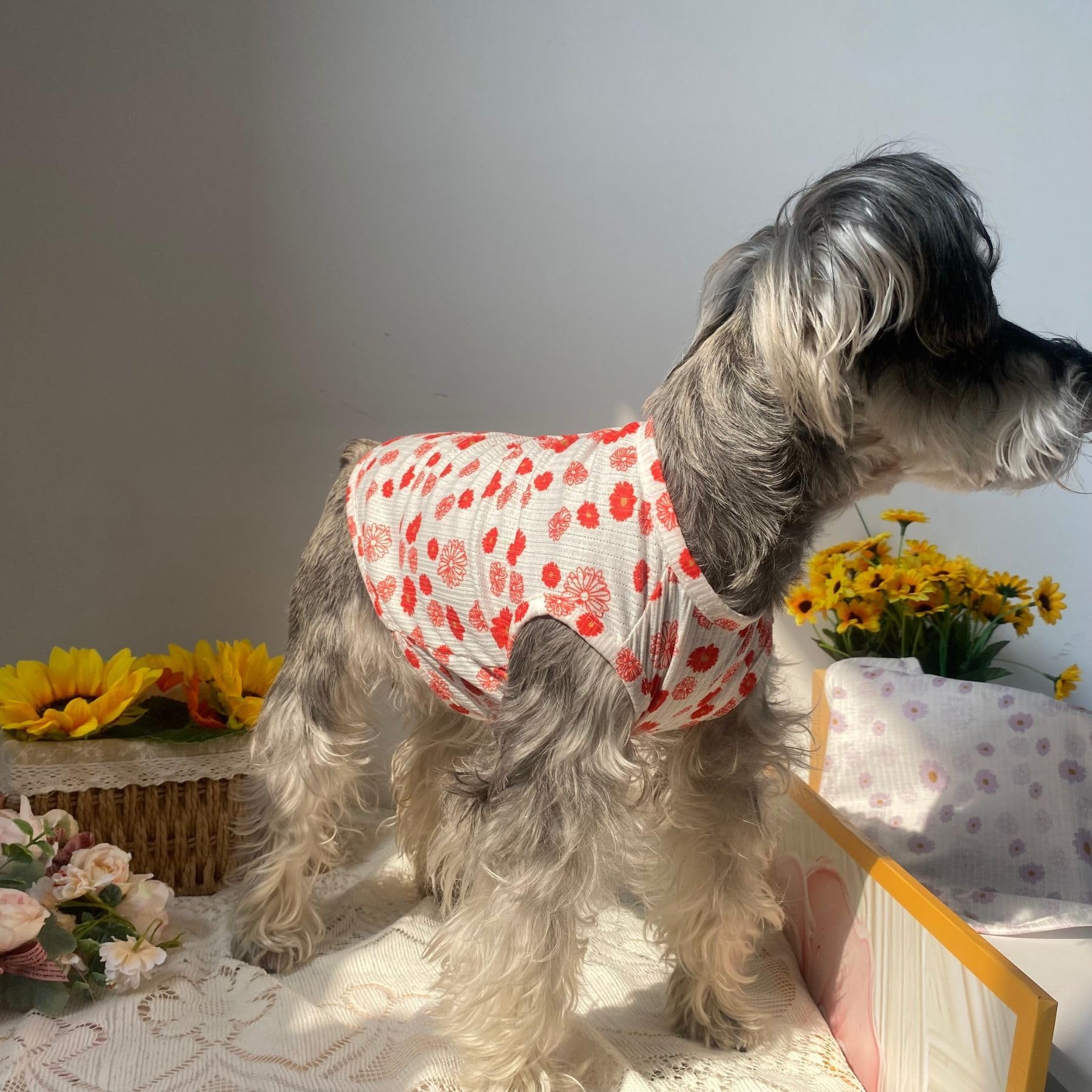 Summer Dog Cotton T Shirt Pet Tee Shirts Puppy Daisy Flower Prints Clothes Apparel For Small Dogs Cats