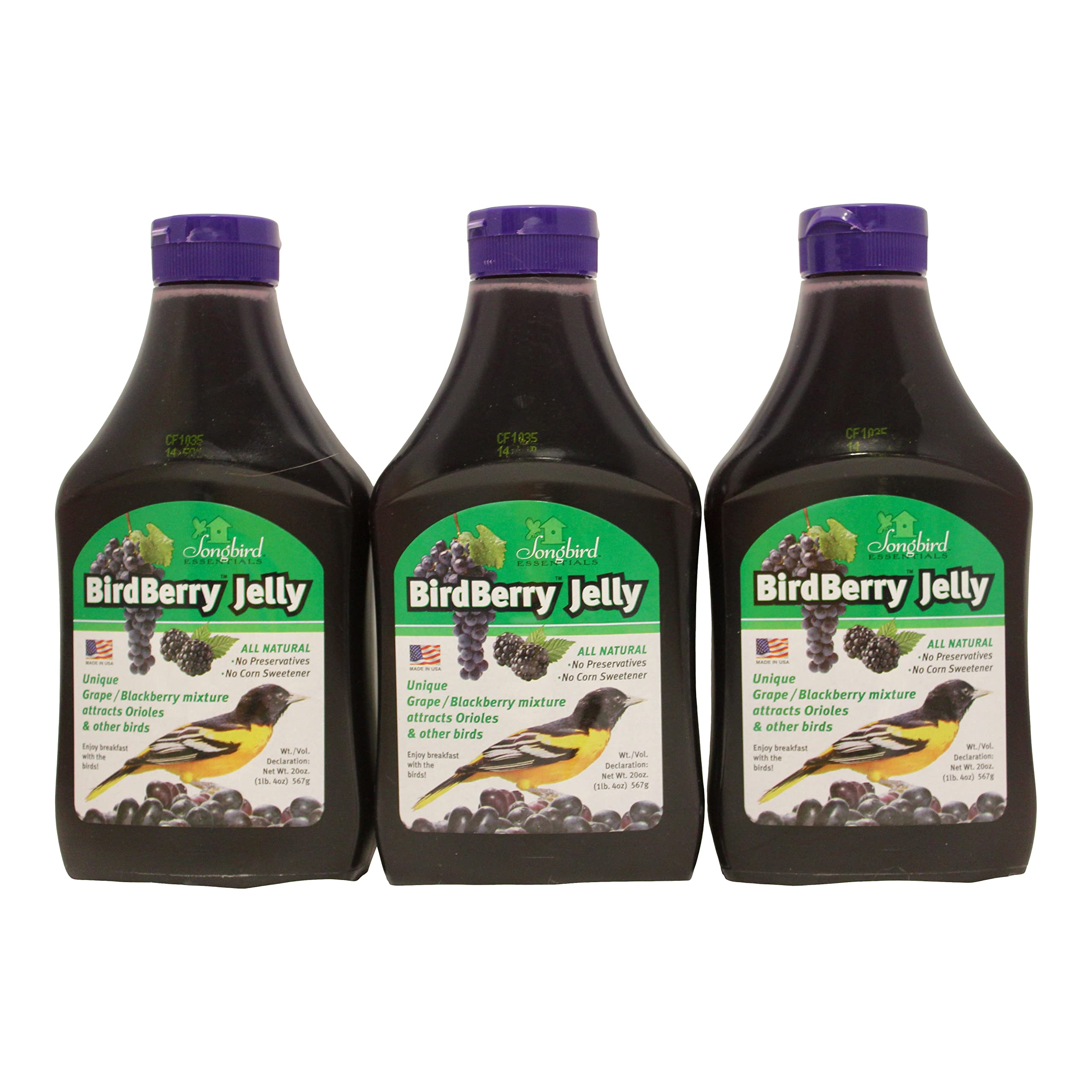 Songbird Essentials 20 Ounce BirdBerry Jelly Squeeze Bottle Bird Feeder Jelly, Grape and Blackberry Jelly Made Just for Birds [P