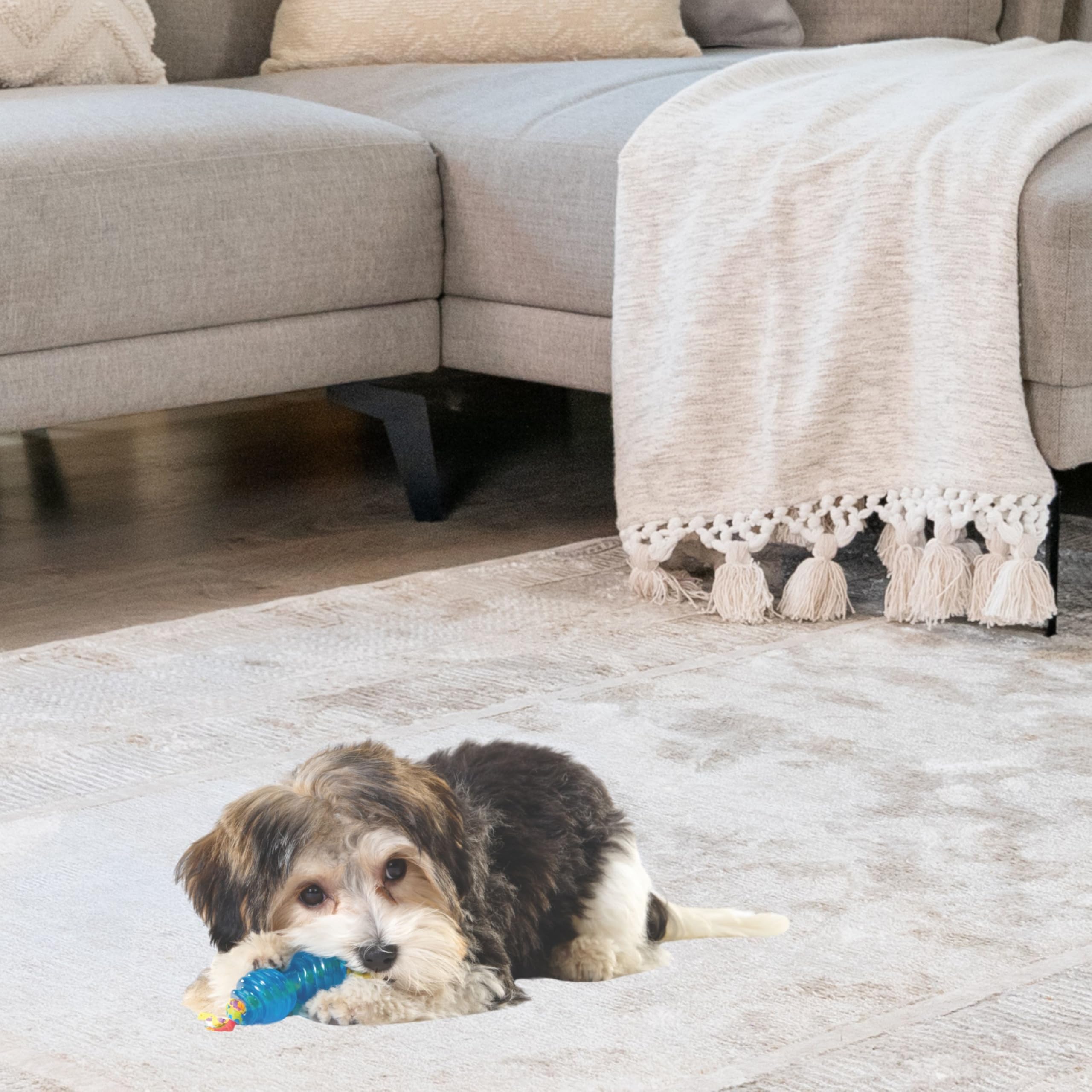 Petstages Mini Orka Chew Pair Bone & Dumbbell Dog Toys, Small (Pack of 2), Canvas, Chew Pair, Model 234