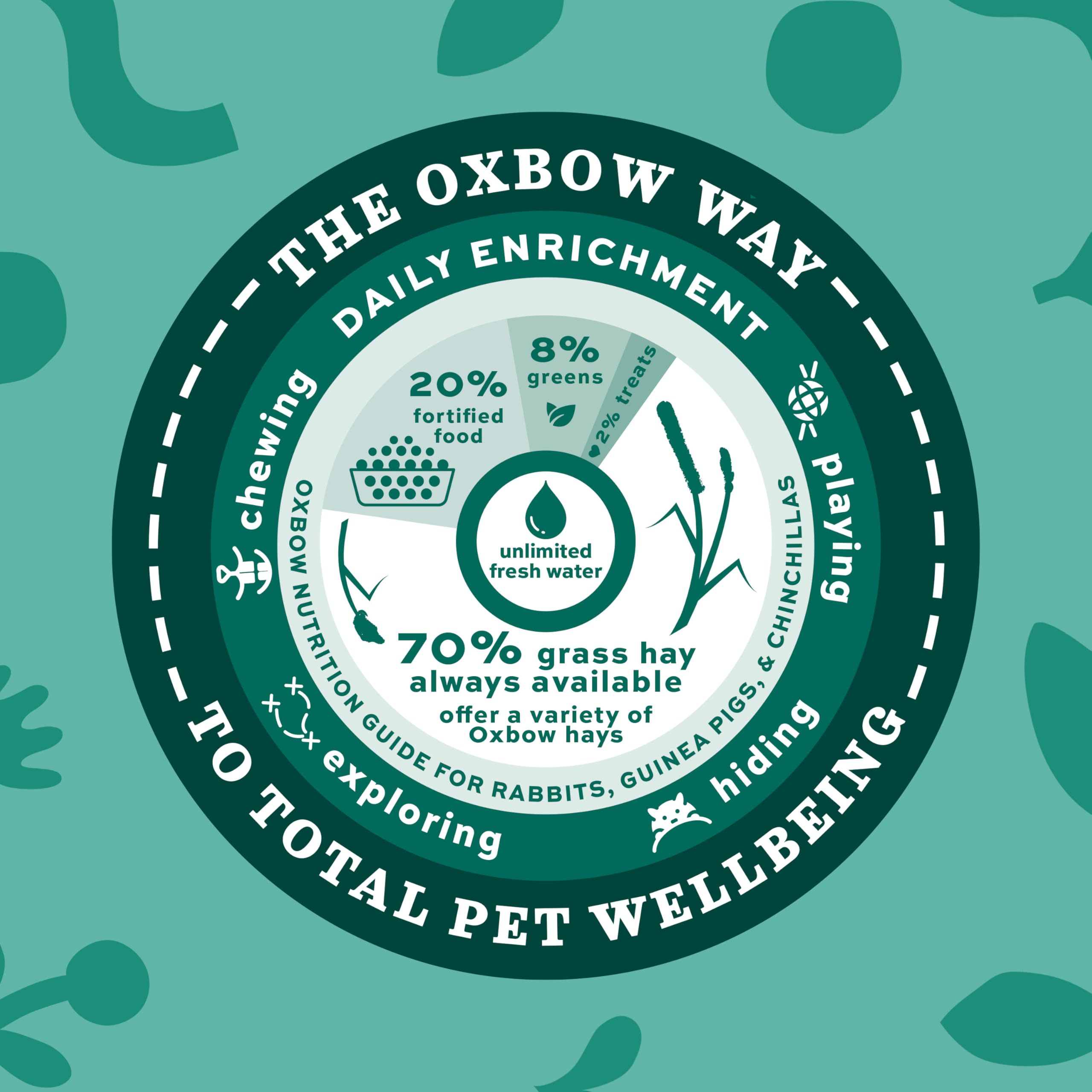 Oxbow Animal Health Western Timothy Hay- Veterinarian Recommended- Hay for Rabbits, Chinchillas, Guinea Pigs & Other Small Pets-
