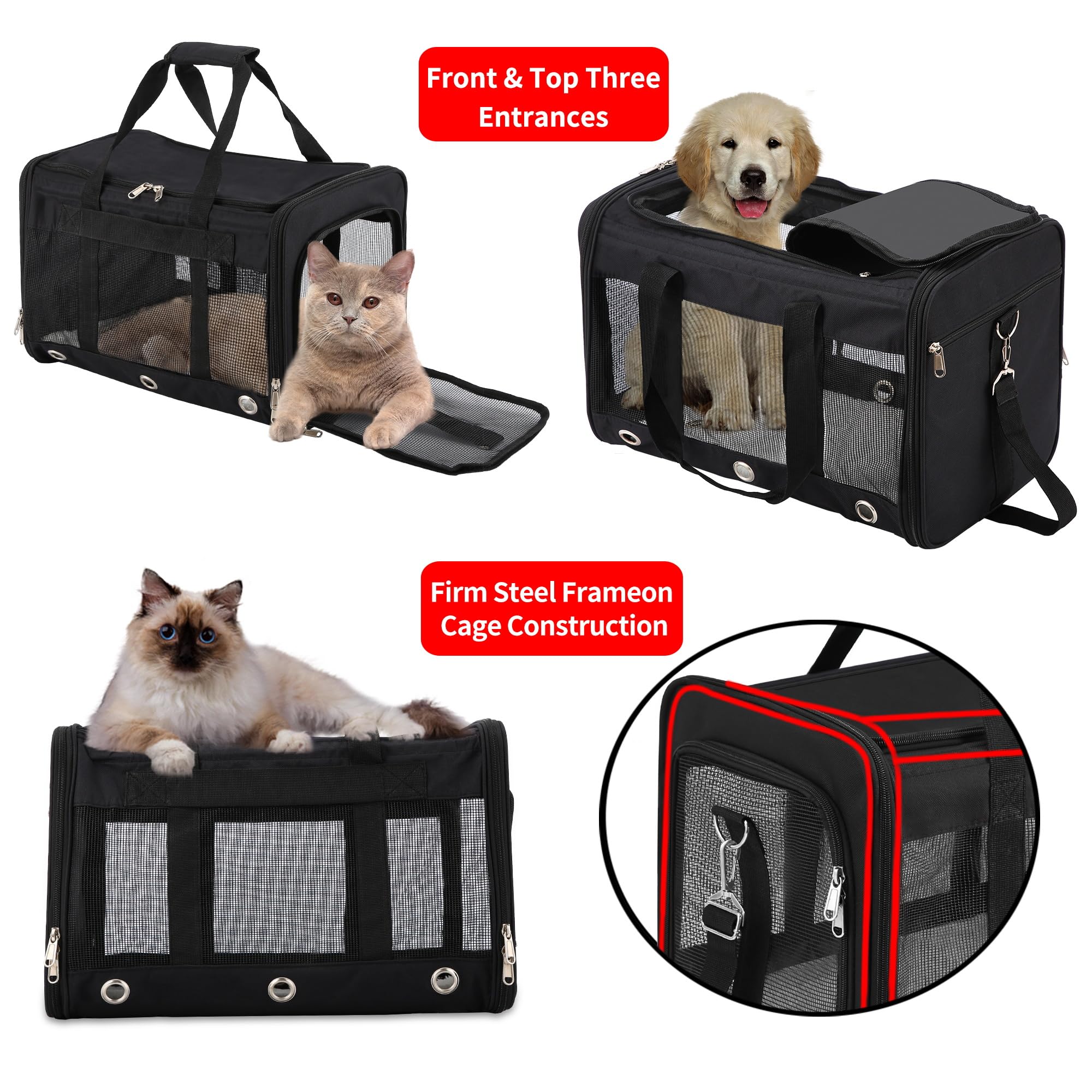Soft Sided Cat/Dog Carrier